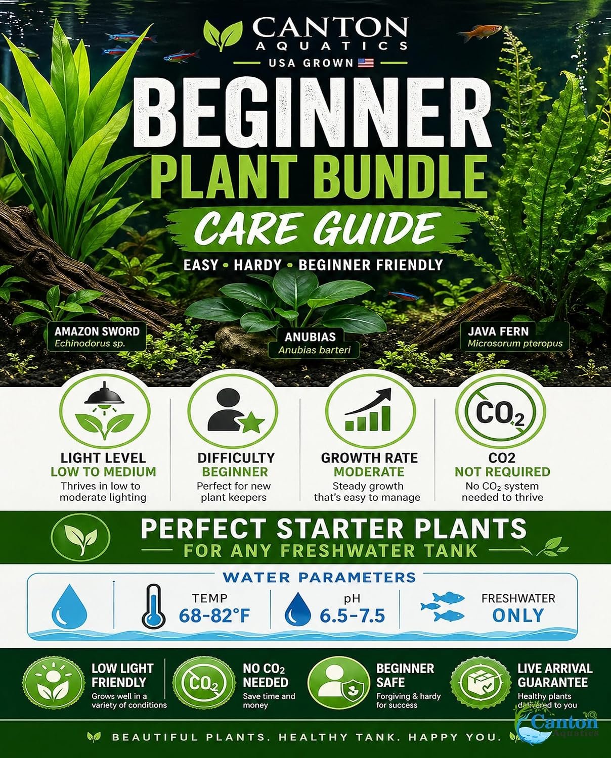 Assorted Mixed Plant Bundle | Live Aquarium Plant, Freshwater, Low | Medium | High Light - Image 9