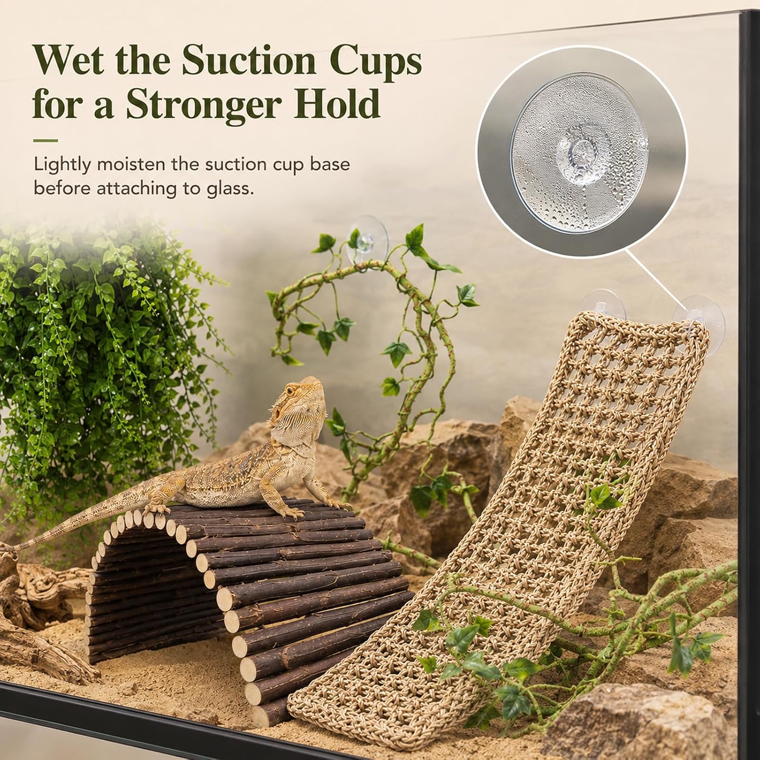 RUNANIA Bearded Dragon Tank Accessories, 10 PCS Reptile Hammock Plants Bridge Jungle Climber Vines for Snakes Bearded Dragon Chameleon Gecko Lizard - Image 5