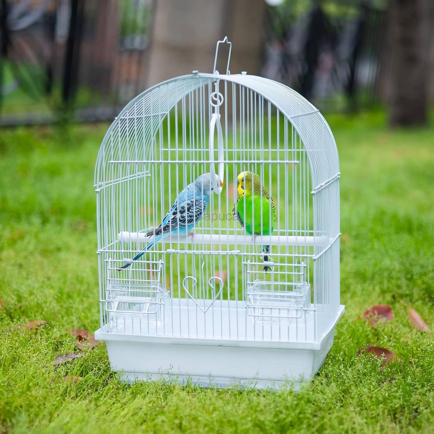 Small Bird Travel Cage - Lightweight Small Birds Starter Kit with Birdcages and Accessories Great for Parakeets Lovebirds Parrotlets Finches Canaries - Image 3