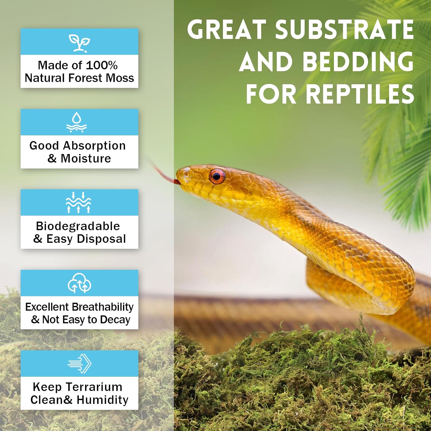 Riare 7 OZ Natural Sphagnum Moss for Reptiles, Terrarium Substrate Bedding | 6QT High Expansion, Moisture Retention, Helps Shedding, Long Fibered Dried Moss for Leopard Gecko, Snake, Frog, Turtle - Image 3