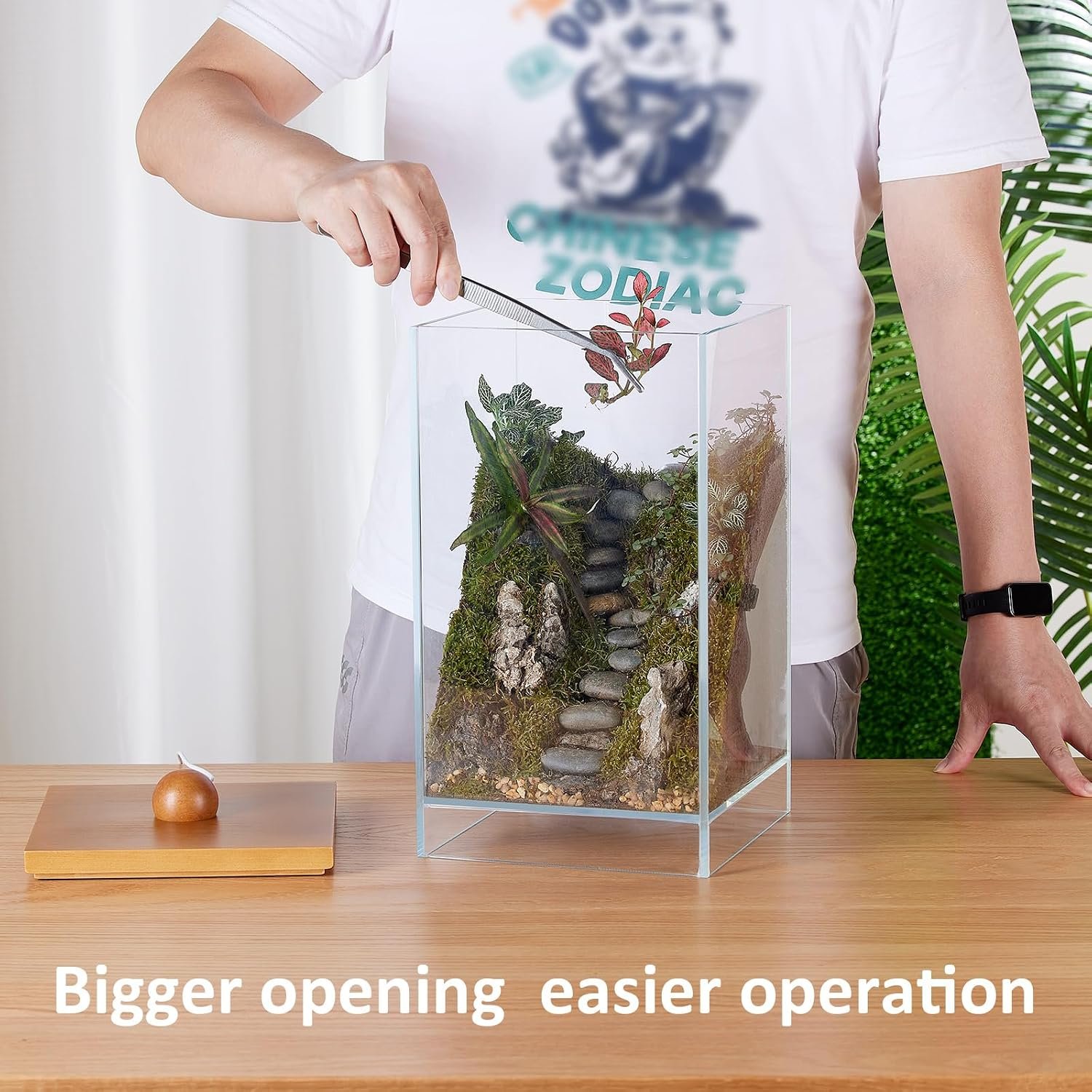 Large Glass Plant Terrarium: 13.7H+7.8W Terrarium with Light | Desktop Propagation Station for Succulent/Moss/Miniature Gardening Landscape/Betta Fish Tank - Image 5