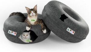 Cattasaurus Peekaboo Cat Cave Duo J...