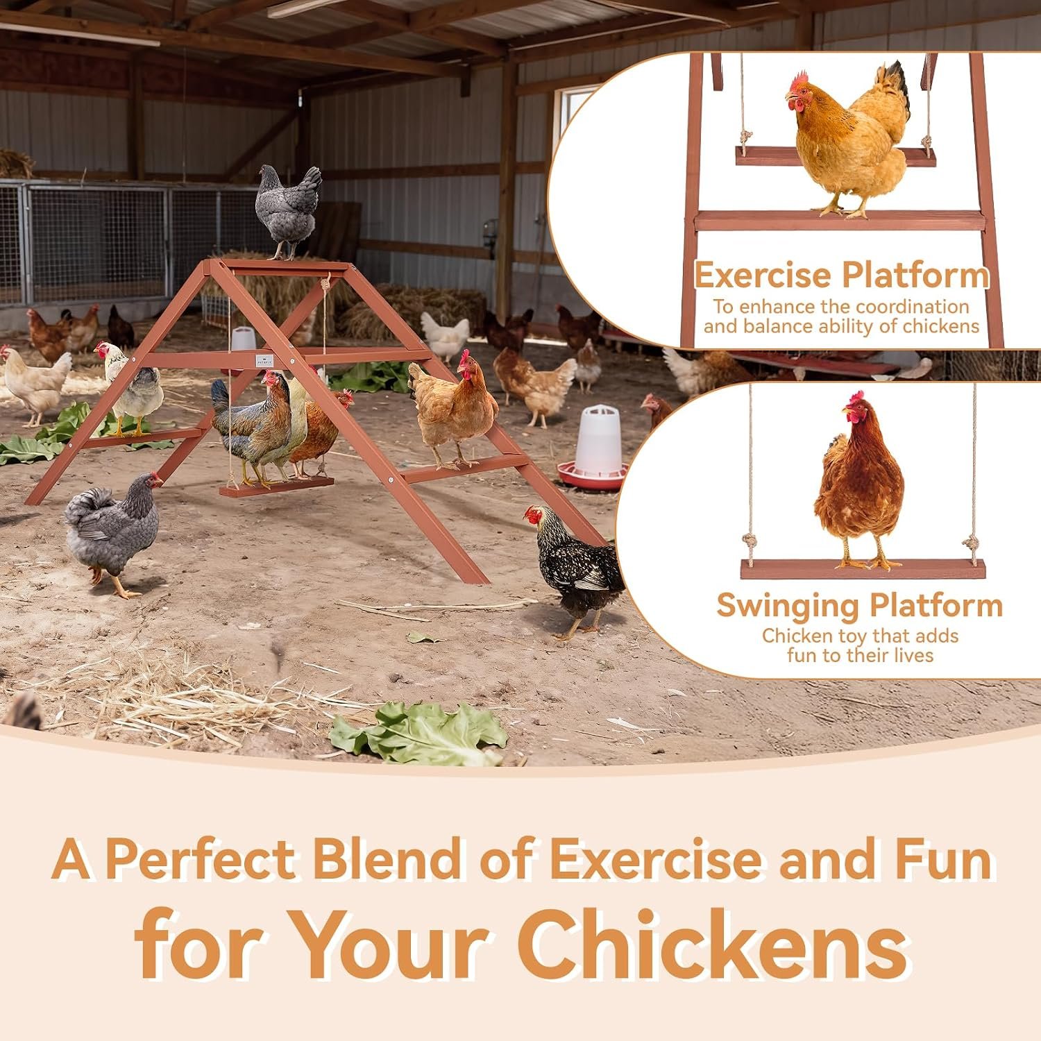 PETSFIT Wooden Chicken Roosting Bars for 10-12 Chickens, Easy Assembly | Solid Fir Wood,Chicken Perch for Outdoor Coops,Backyard Farms ,3-Layers Design with Swing,Promotes Healthy,Easy to Clean - Image 2
