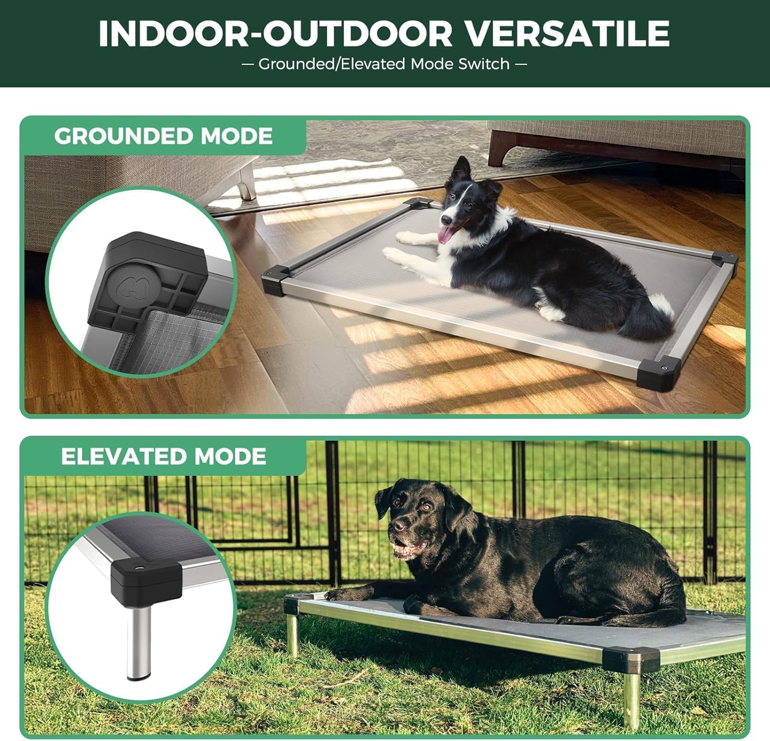 FXW TitanNest Padded Chew-Proof Elevated Dog Bed for Small Dogs | Easy to Clean, Pre-assembly Raised Cot, Indoor/Outdoor/Camping, 35 x 22 x 4.5in - Image 5