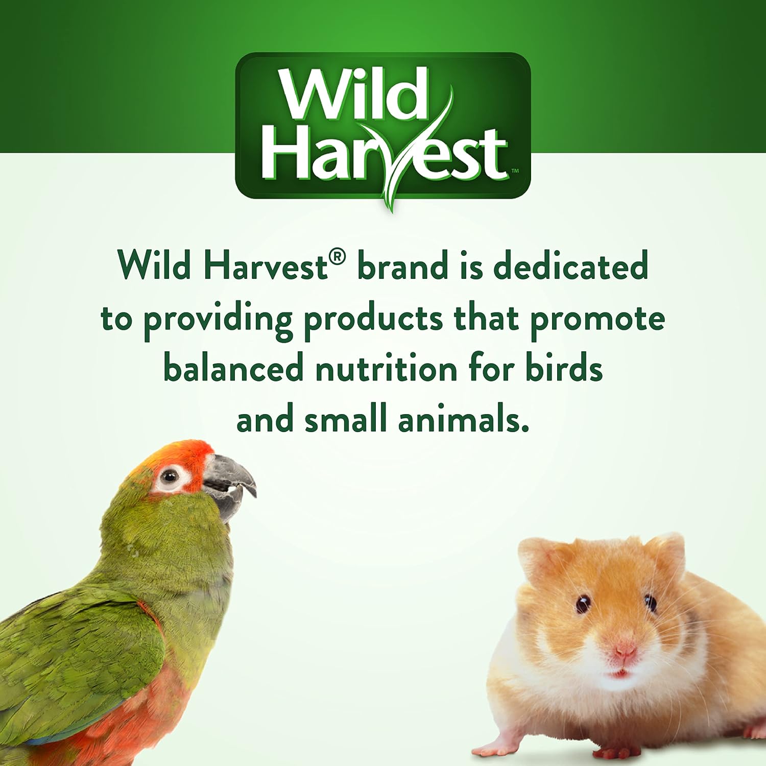 Wild Harvest Healthy Benefits Molting Supplement, 7.5 Oz., for All Birds - Image 7