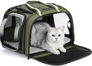 Pecute Cat Carrier with Bubble Wind...