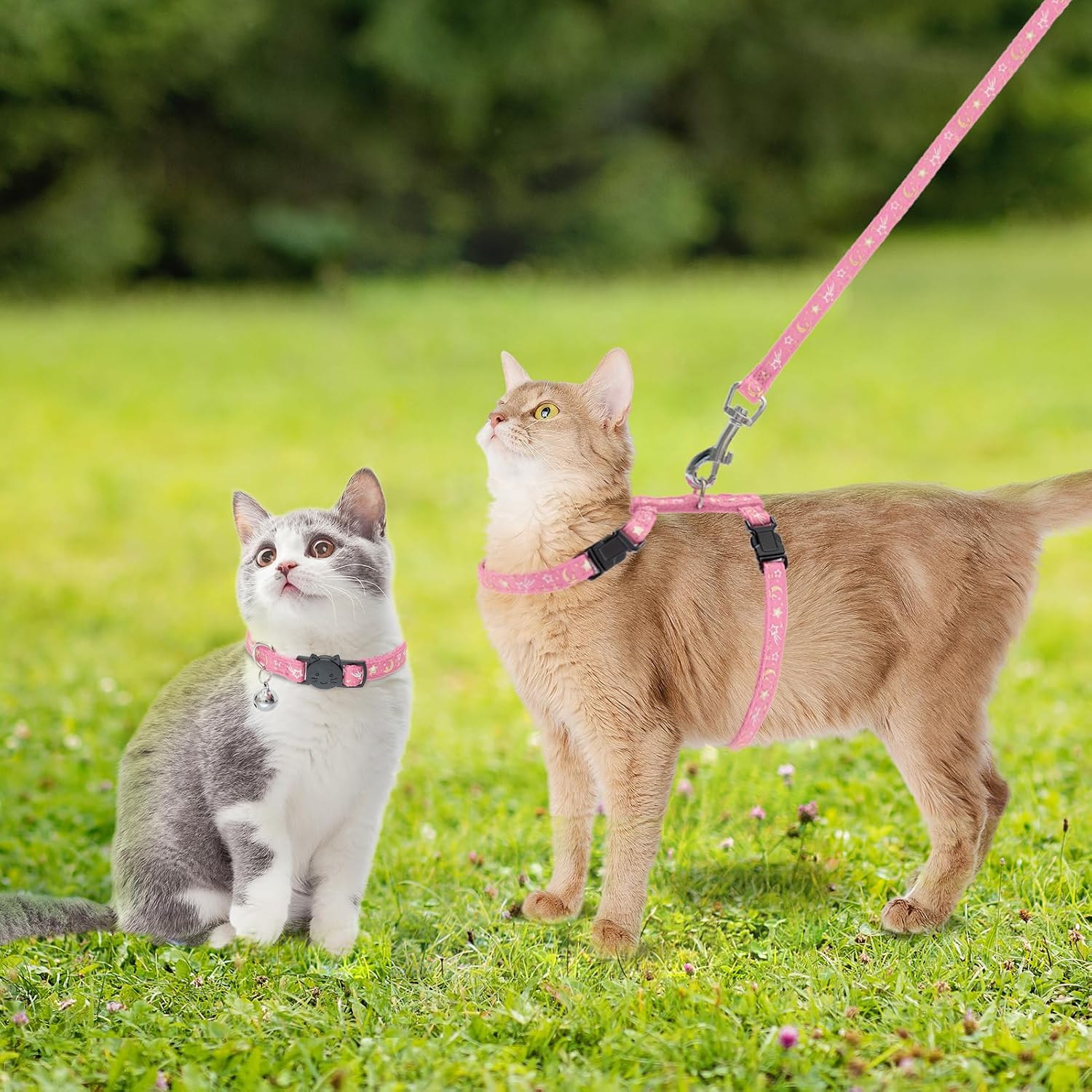 PAWCHIE Cat Harness with Leash and Collar Set - Escape Proof Adjustable H-shped Cat Harness with Star and Moon Pattern Glow in The Dark for Kitty Outdoor Walking - Image 3