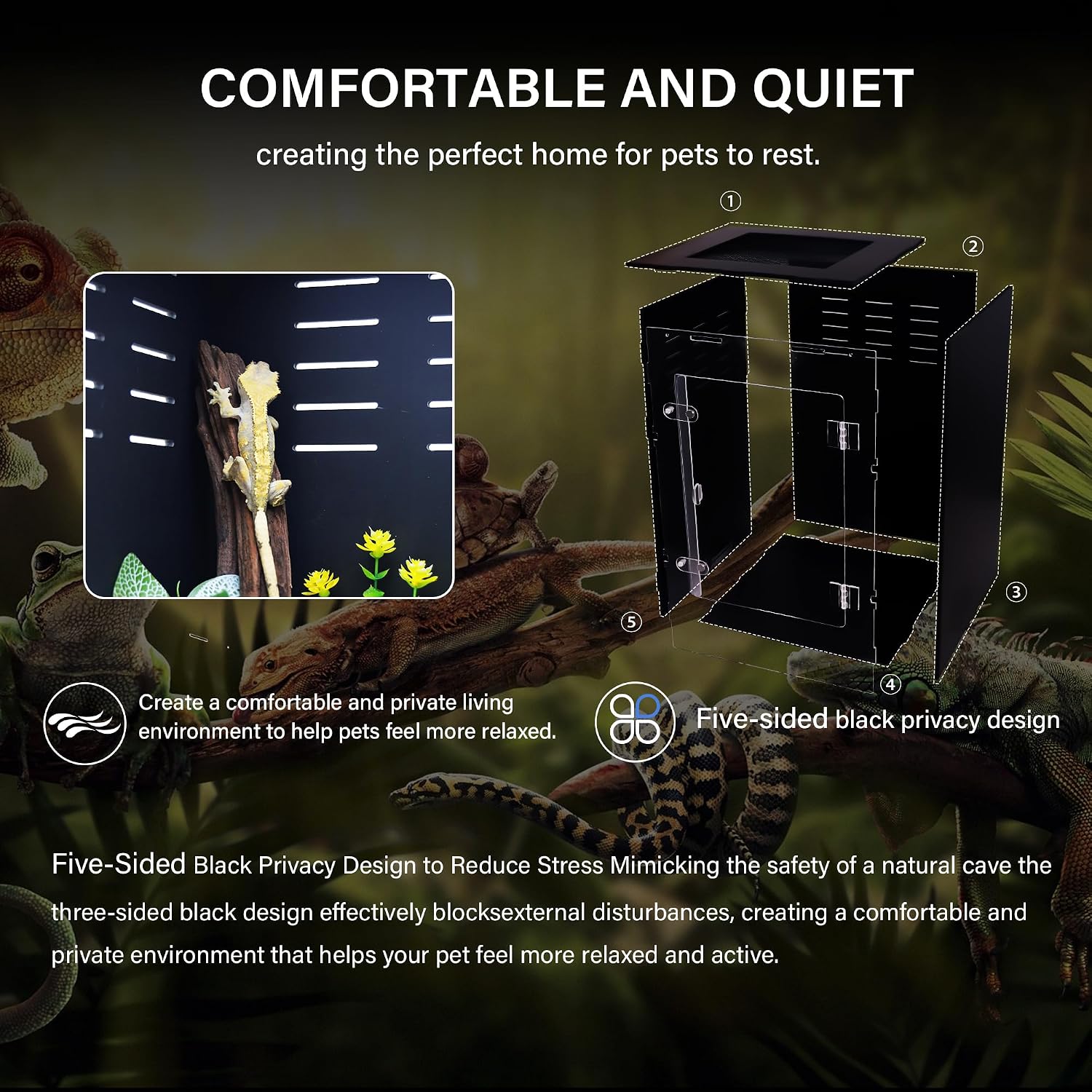 Reptile Enclosure for Crested Gecko – 12x12x18 Acrylic Reptile Tank for Gecko, Snake, and Lizard – PVC Terrarium for Small Pets - Image 4