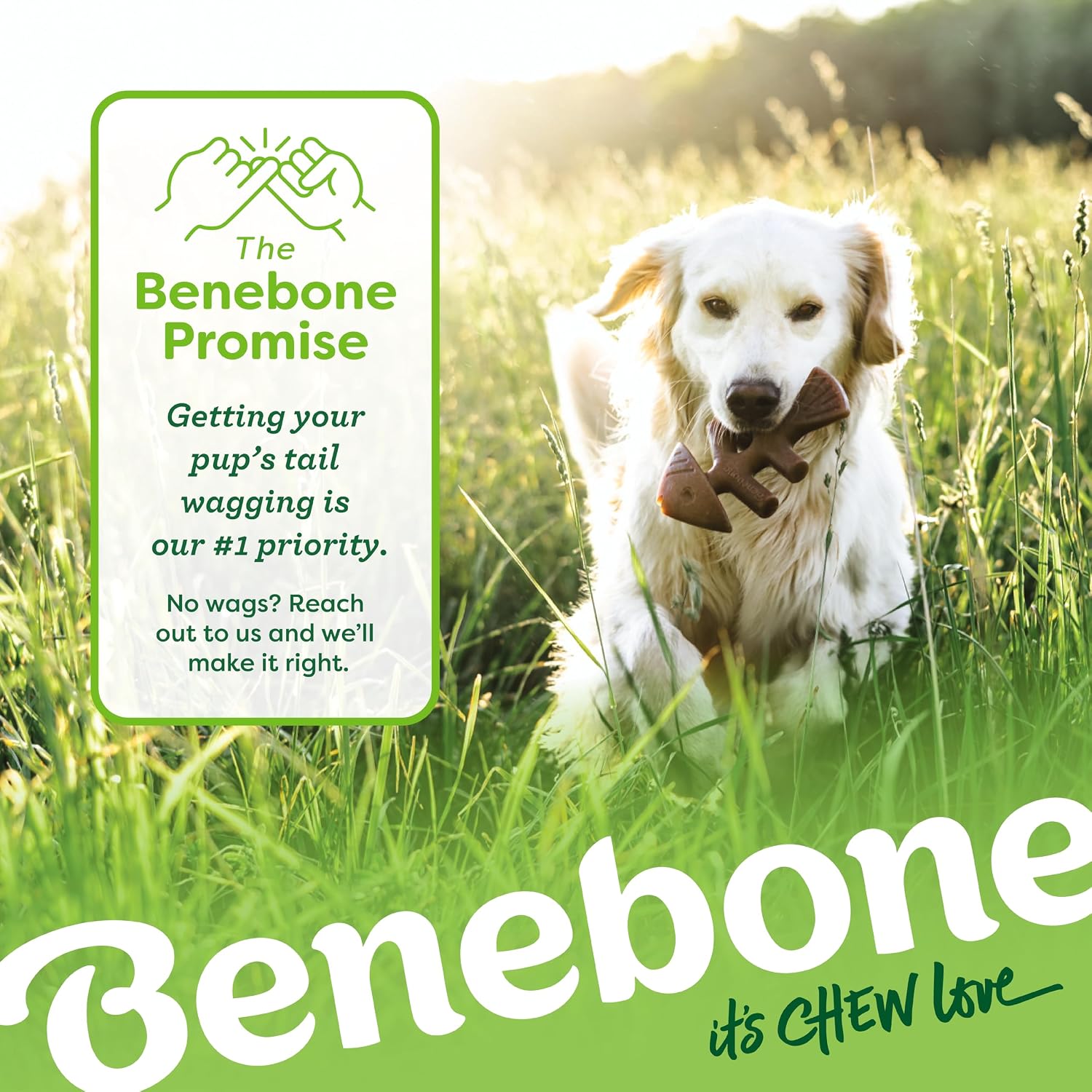 Benebone Medium 4-Pack Dog Toys for Aggressive Chewers – Under 60 lbs - Image 7