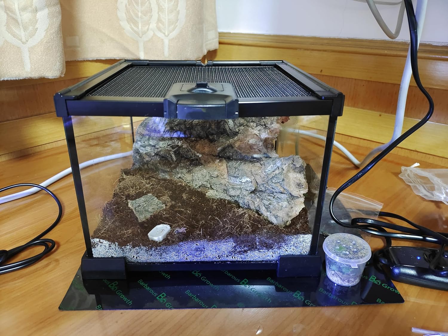 AWXZOM Mini Reptile Glass Terrarium Tank, cage for Tarantula Sling Geckos, Frog, Lizards, Chameleons,Turtles Snake Snail Insect Hermit Crab Isopods Reptiles Enclosure (7.9x7.9x5.7inch) - Image 4