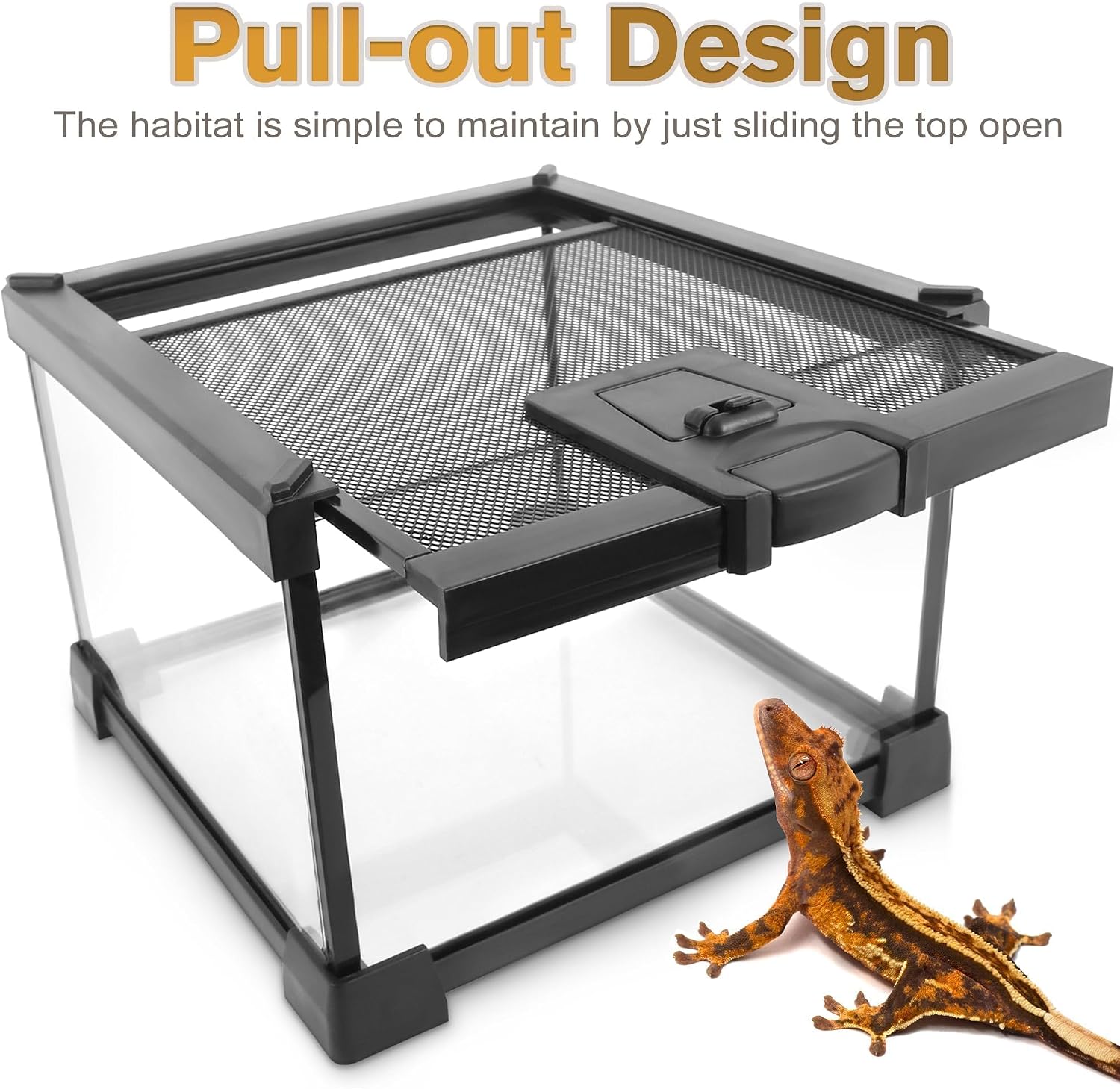 20"x12"x10" Reptile Terrarium, Escape-Proof Glass Terrestrial Vivarium for Small Desert Reptiles Such as Leopard Geckos, with Escape-Proof Lock & Feeding Hatch - Image 6