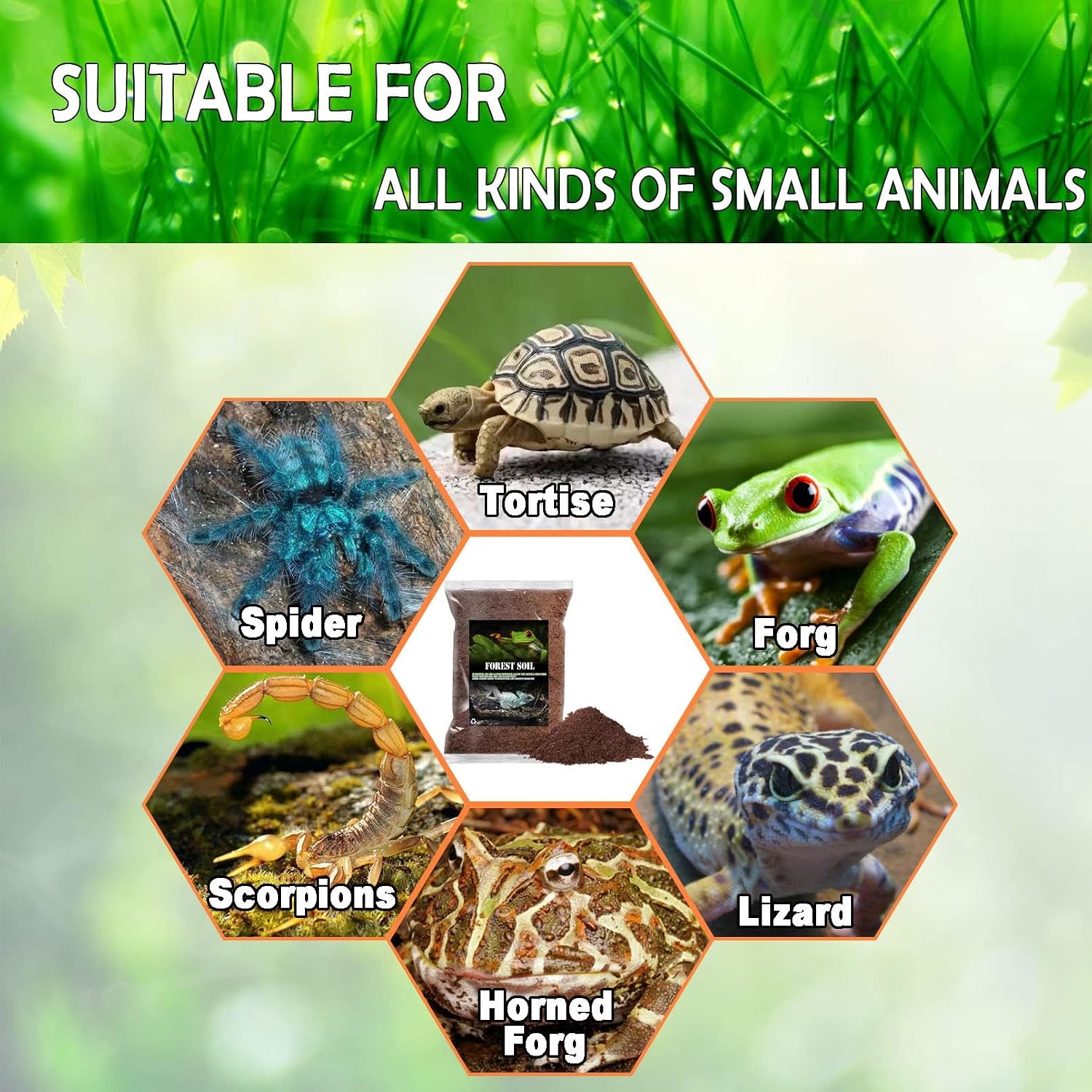 BNOSDM Reptile Soil Substrate Fluffy Small-Strand Reptile Substrate and Snake Bedding Clean Natural Terrarium Bedding for Lizards Snakes Tortoises Tarantulas - Image 7