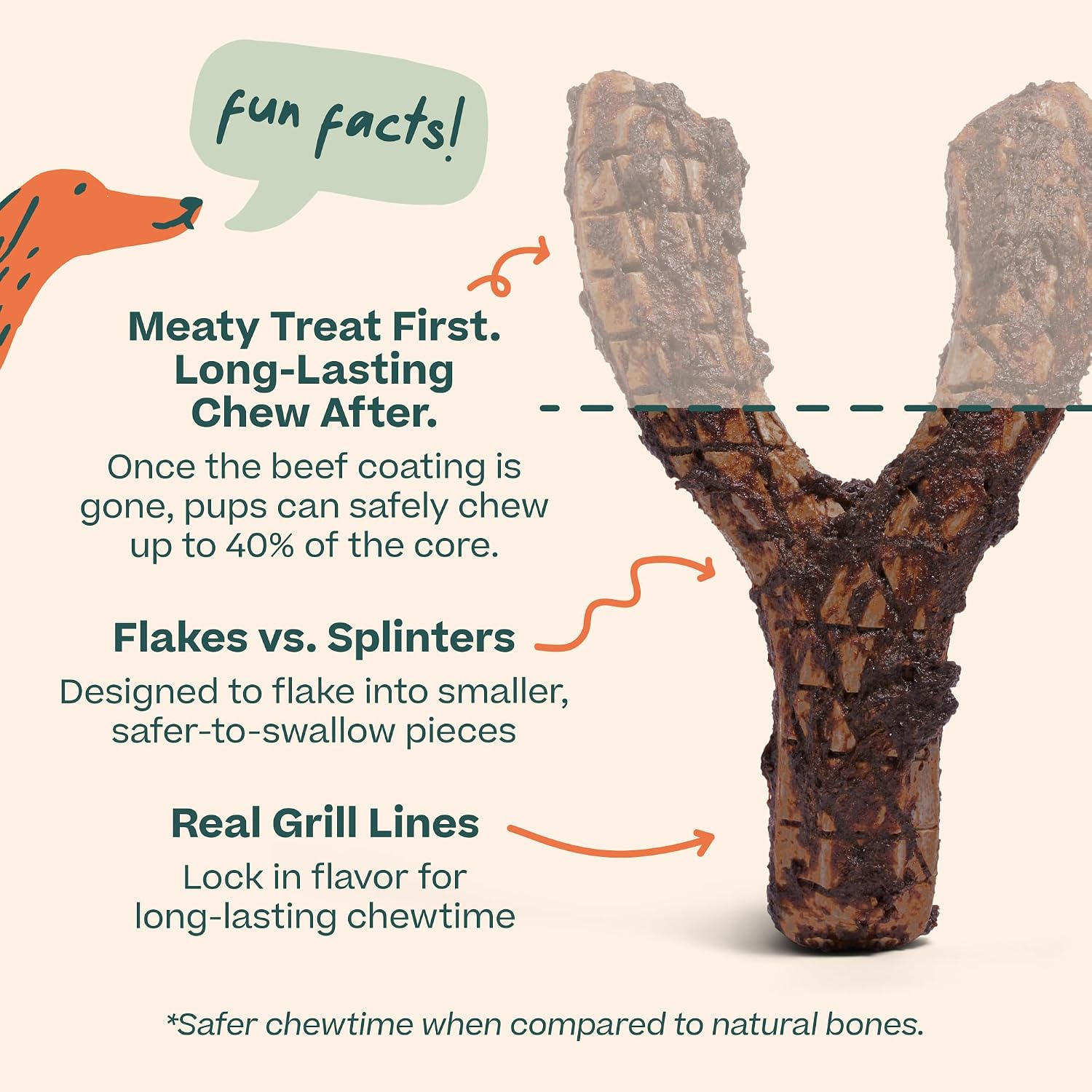 WOOF HonestChew Meaty Y-Gnawt Dog Chew Toy for Dogs 25-60 lbs | For small dogs, plant-based materials, splinter-resistant, beef covering, durable chew, supports dental care - Image 7