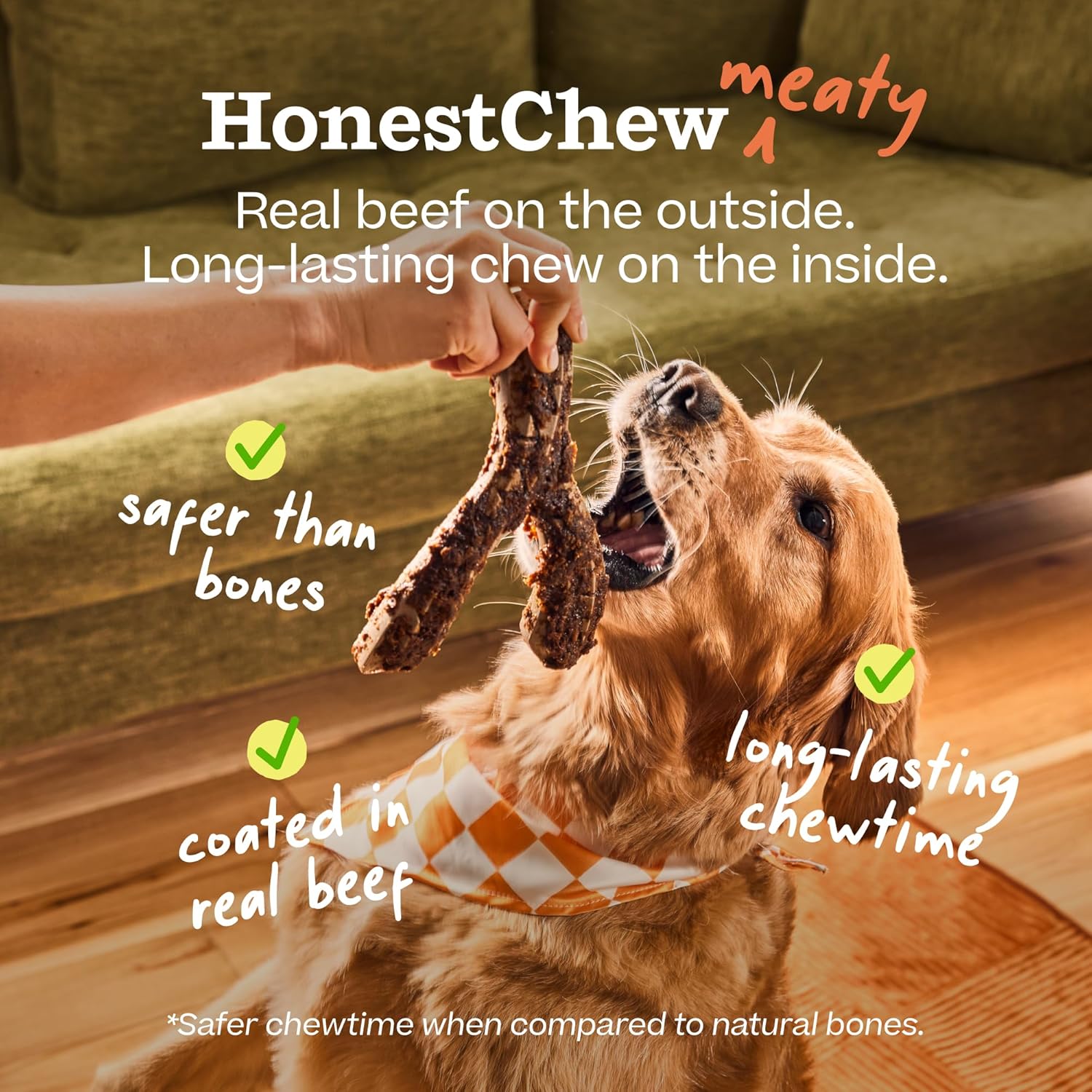 WOOF HonestChew Meaty Y-Gnawt Dog Chew Toy for Dogs 25-60 lbs | For small dogs, plant-based materials, splinter-resistant, beef covering, durable chew, supports dental care - Image 4