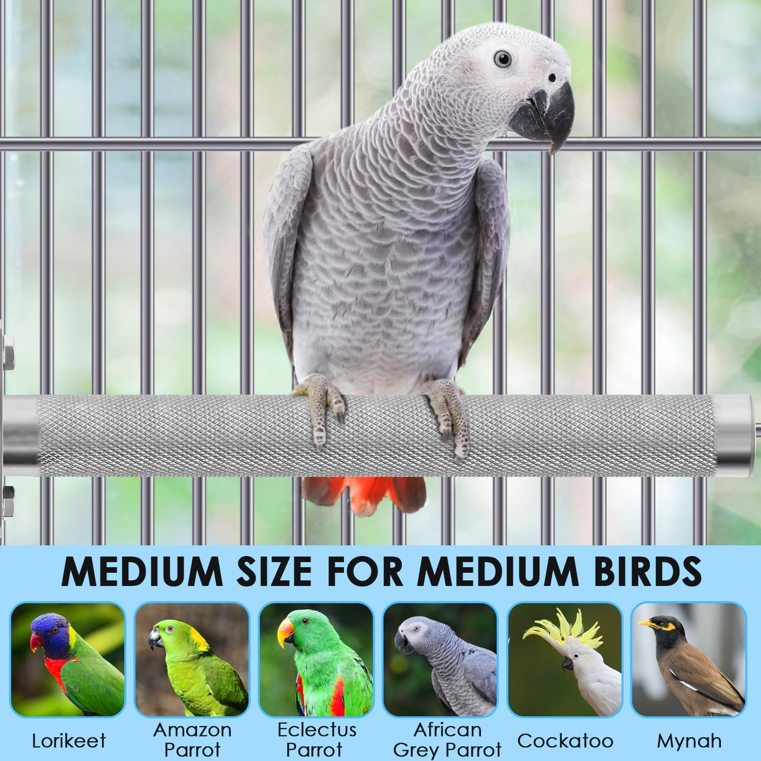 KATUMO Bird Perch - Stainless Steel - Rough Surface Stand for Small to Medium Parrots (9.8 x 1.0 inch) - Image 5