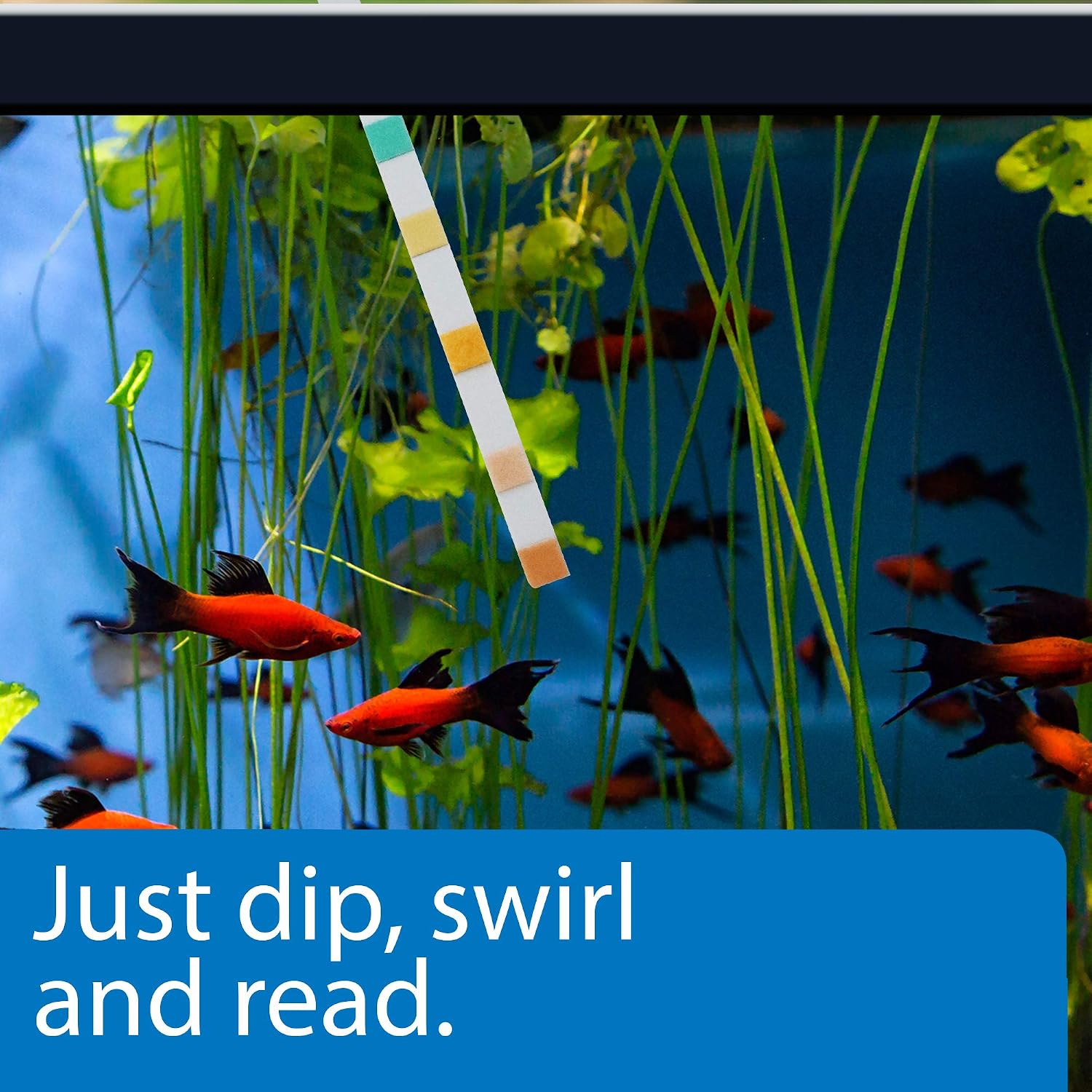 API 5-in-1 Test Strips Freshwater and Saltwater Aquarium Test Strips 25-Count Box - Image 4