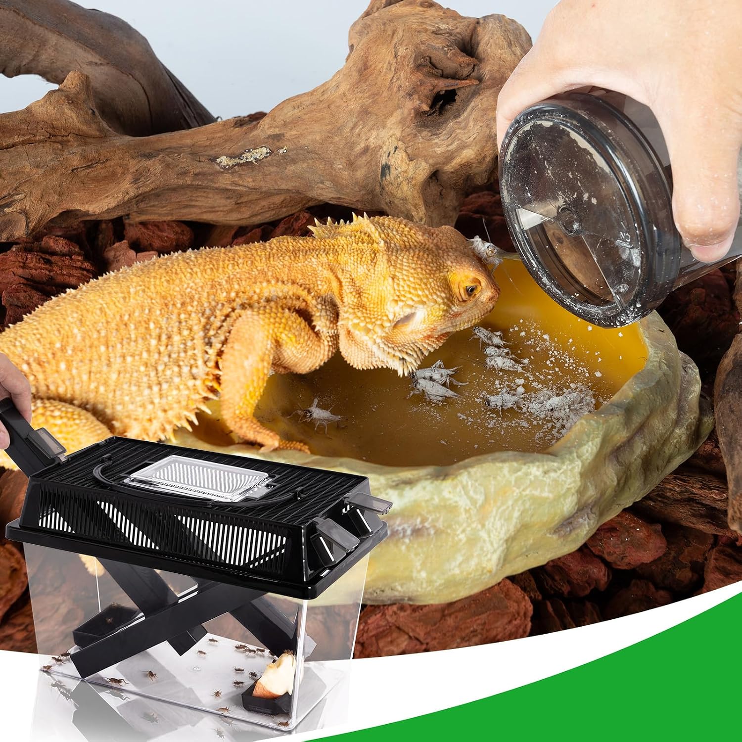 REPTI ZOO Reptile Cricket Keeper & Mixer Combo Kit, Reptile Cricket Calcium Powder Feeder, Feeding Dispenser Shaker for Bearded Dragon Gecko Lizards Chameleon Snake - Image 7