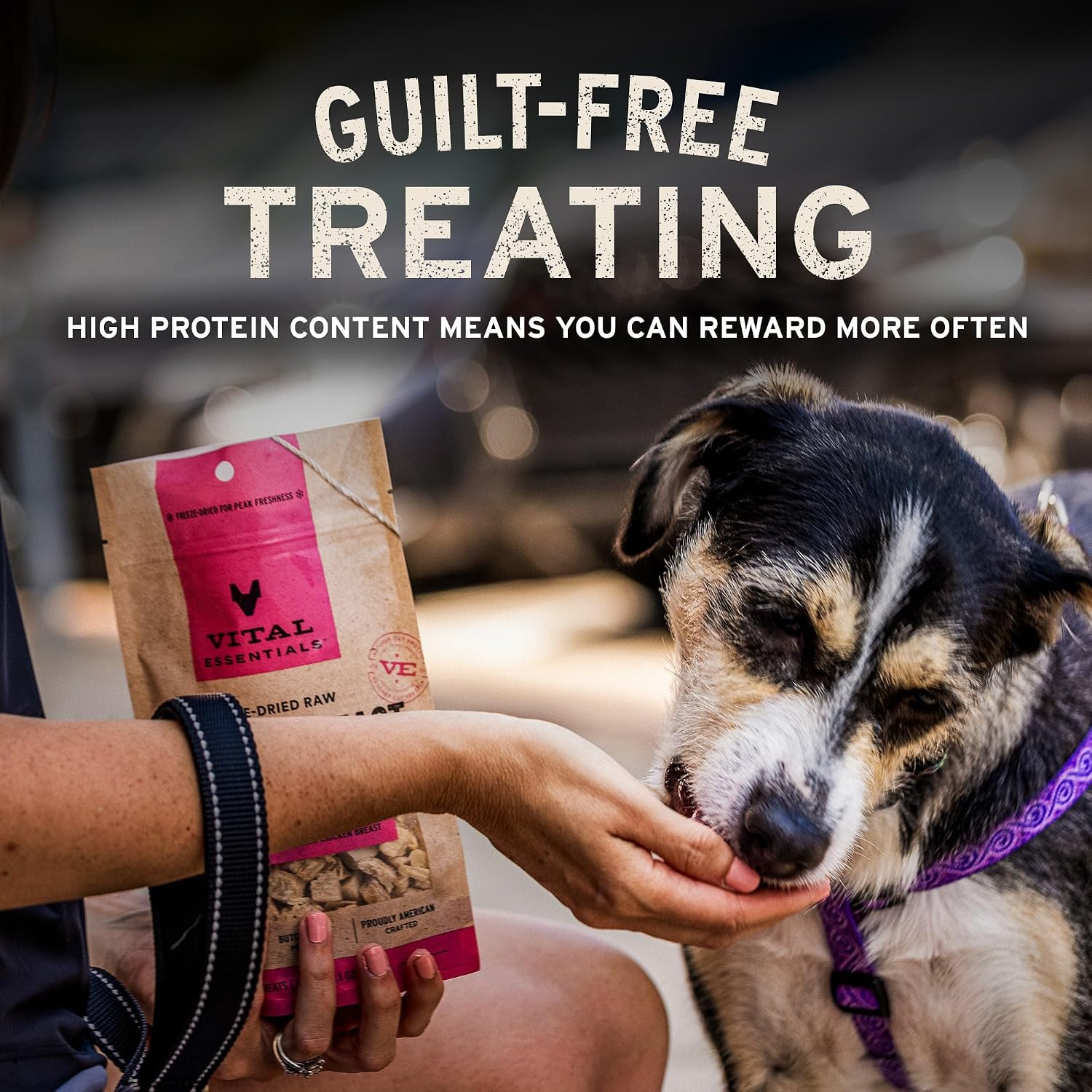 Vital Essentials Freeze Dried Dog Treats | Beef Liver, Single Ingredient | Premium Quality | Grain Free Training Treats for Dogs, 2.1 oz Bag - Image 6