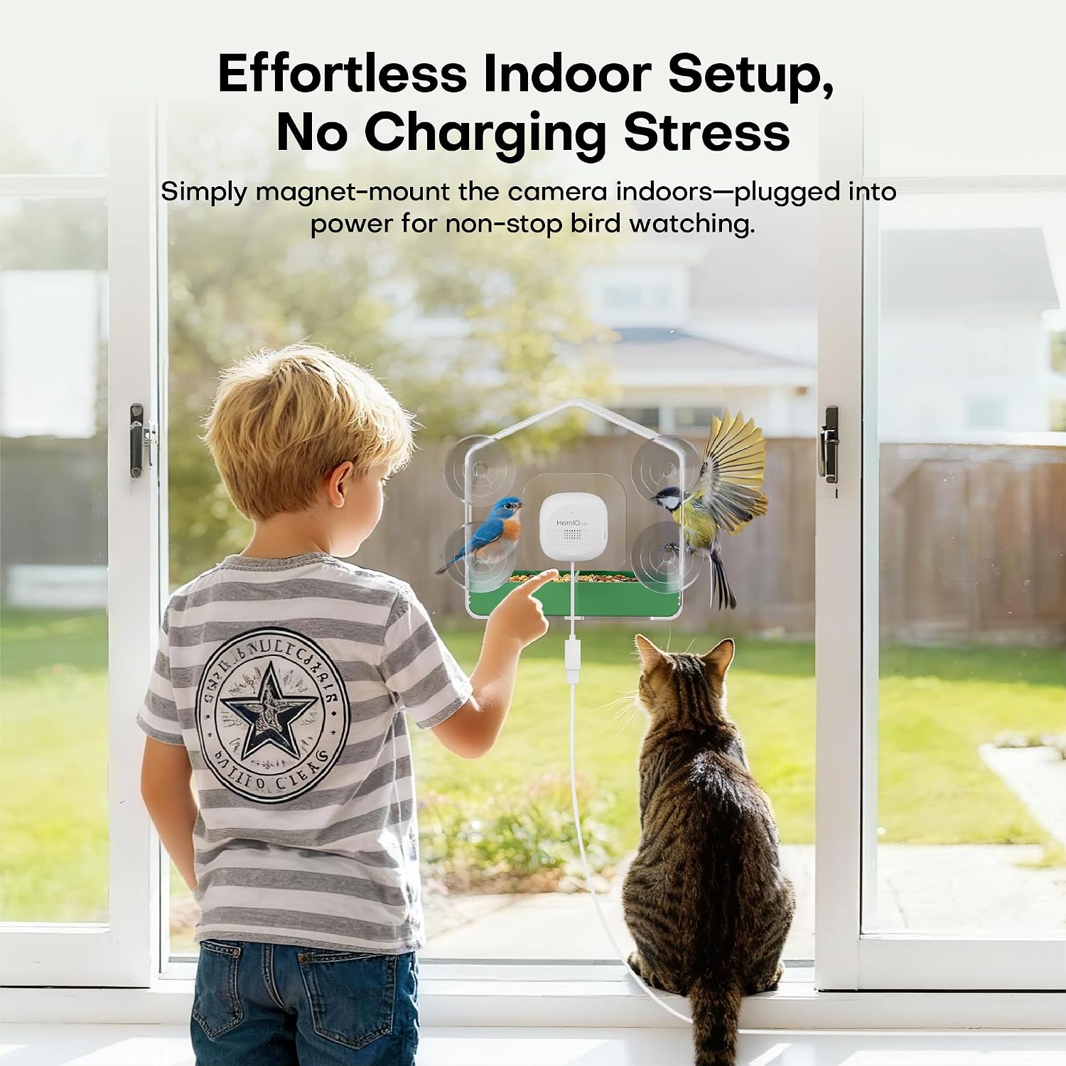 Smart Bird Feeder with Window Camera, 2K HD Camera for Window Viewing, AI BirdSpecies Recognition & Instant Alerts, Sturdy Acrylic Outdoor, Alexa Compatible, Gift for Bird Lovers - Image 4