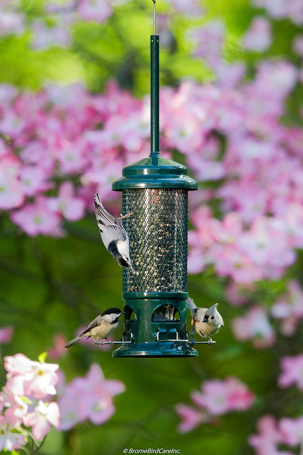 Squirrel Buster Standard Squirrel-proof Bird Feeder w/4 Metal Perches, 1.3-pound Seed Capacity, garden green | 1.3 Lb Capacity, 4 Metal Perches, Weight-Adjustable Closing, Chew-Proof, Uv-Resistant, Easy-Clean Design - Image 5
