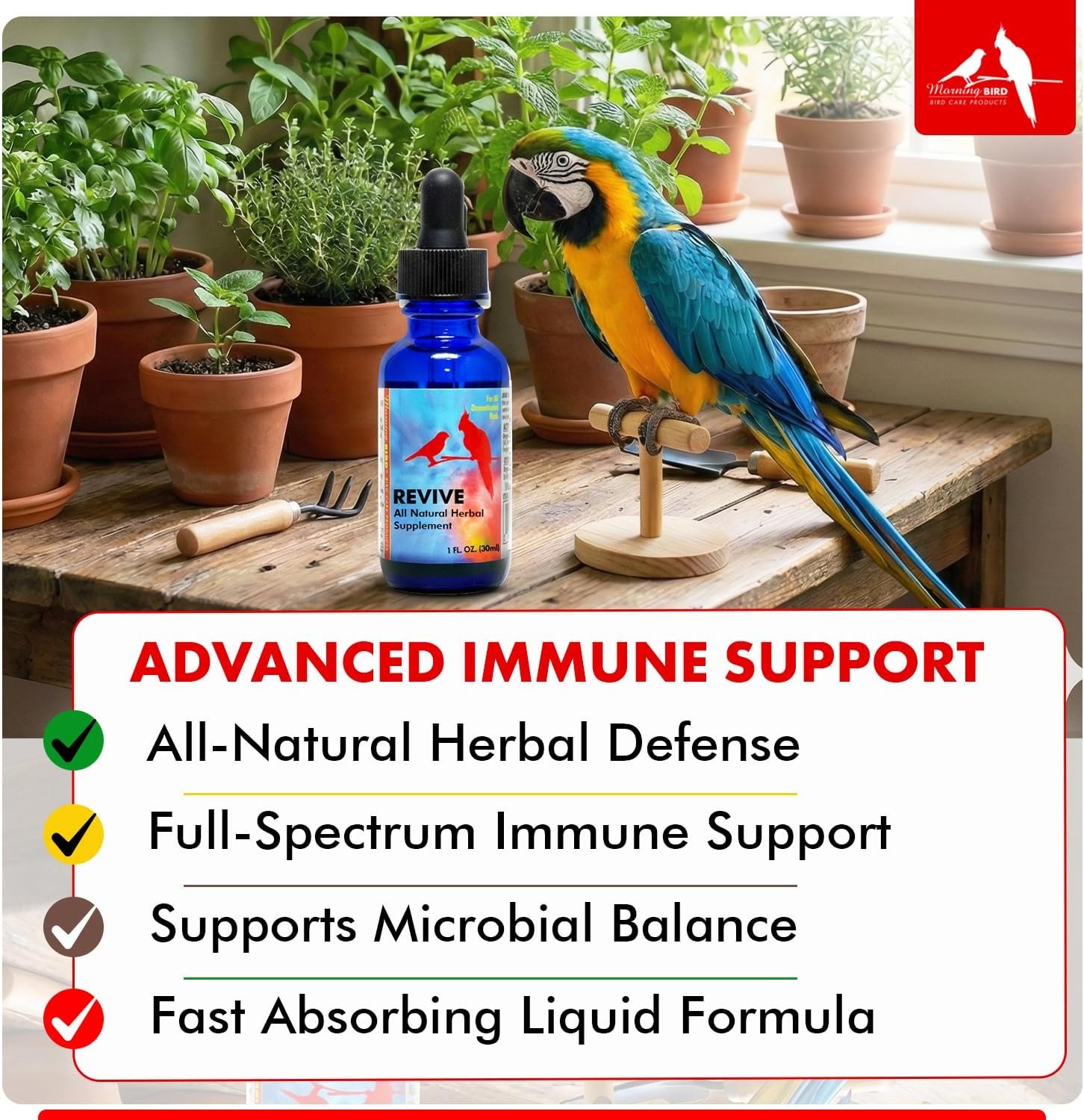 Morning Bird Revive 1 Fl Oz - Herbal Immune Support Extract for Birds | Supports Immune Response, Digestive Health, Energy & Overall Wellnes - Improved Liquid Formula for Faster Absorption - Image 3