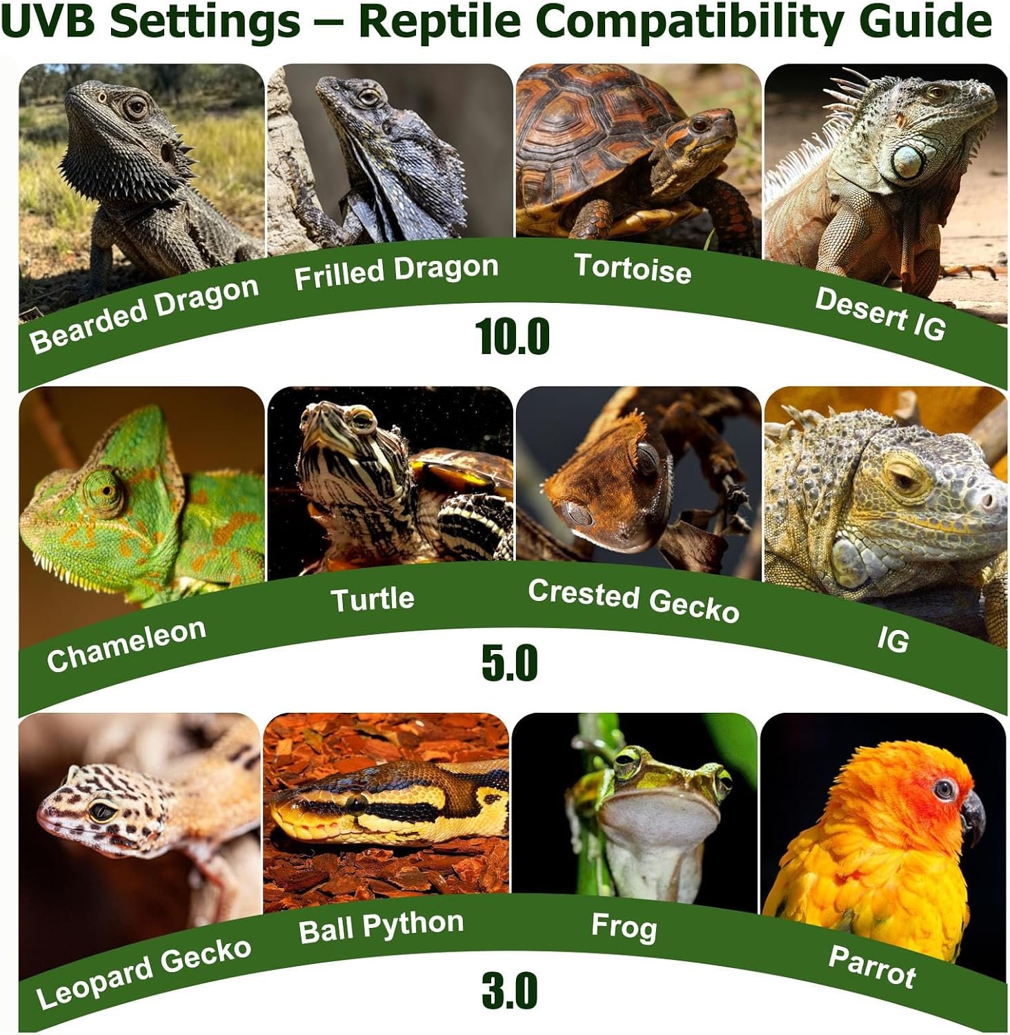 UVB Light for Reptiles Separate Daylight & UVB 10.0/5.0/3.0 Reptile Light Fixture 10W LED Lamp with 24H Cycle Timer UVA UVB Light for Bearded Dragon, Chameleon, Gecko - Image 7