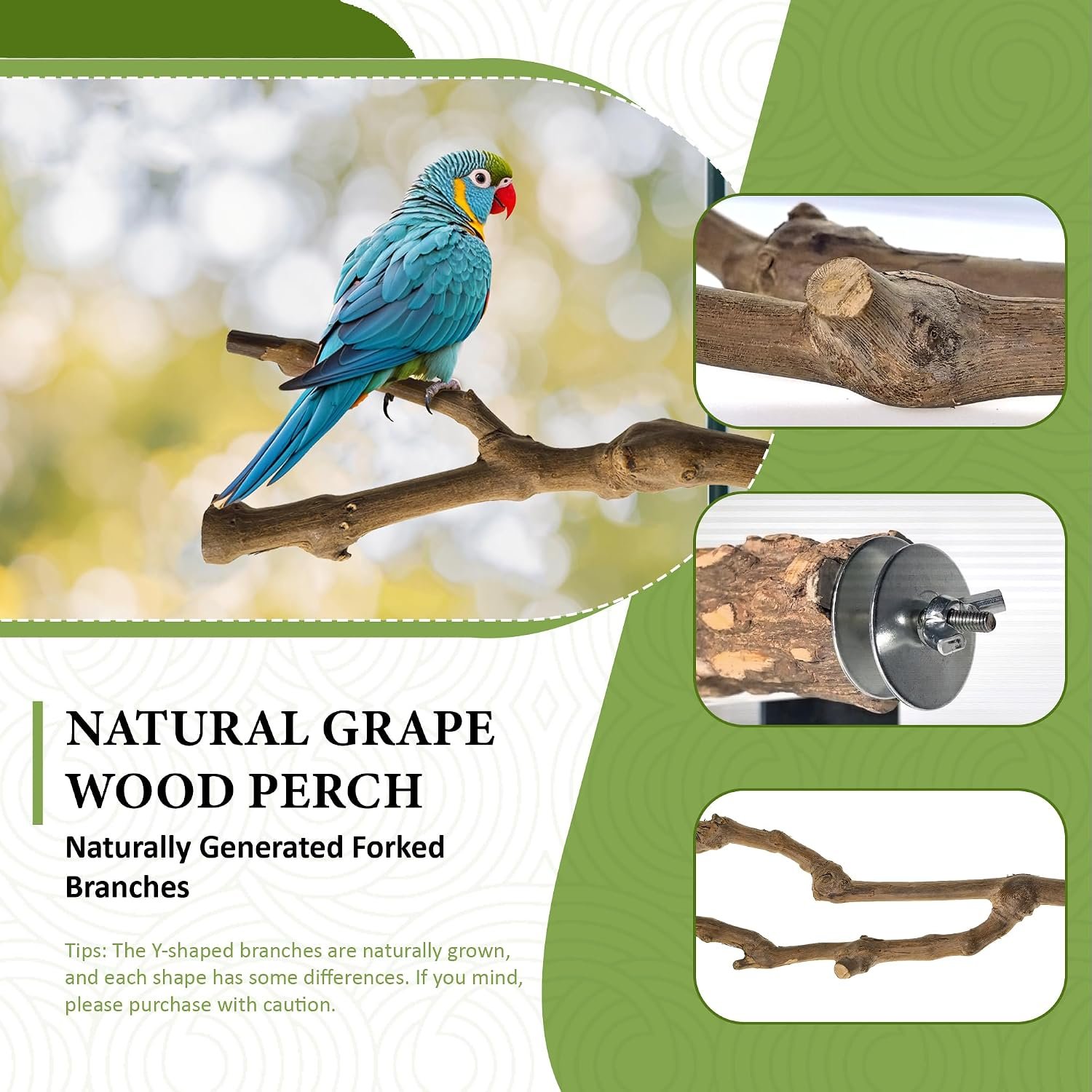 8pcs Natural Bird Perches for Cage, 5.9“ Small Wood Bird Perch for Parakeet/Cockatiel, Bird Cage Stick, Bird Branches for Cages, Birdcage Accessories for Parrot Conure - Image 2