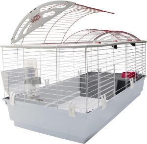 Living World – Deluxe Hybrid ...