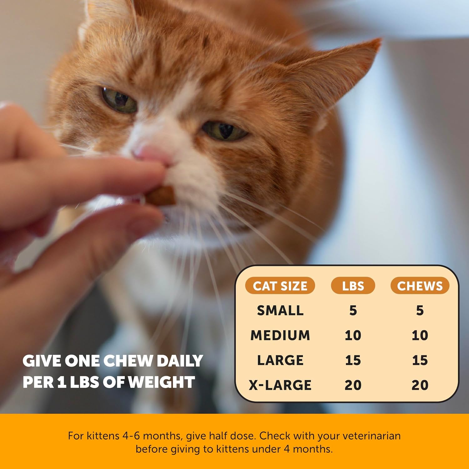 Cat Immune Support Lysine – Allergy Relief & Immune Health Supplement for Cats with L-Lysine, Colostrum, Quercetin & Omega-3 – Soothes Sneezing, Runny Nose & Itchy Skin Chicken, (30-Day Supply) - Image 7