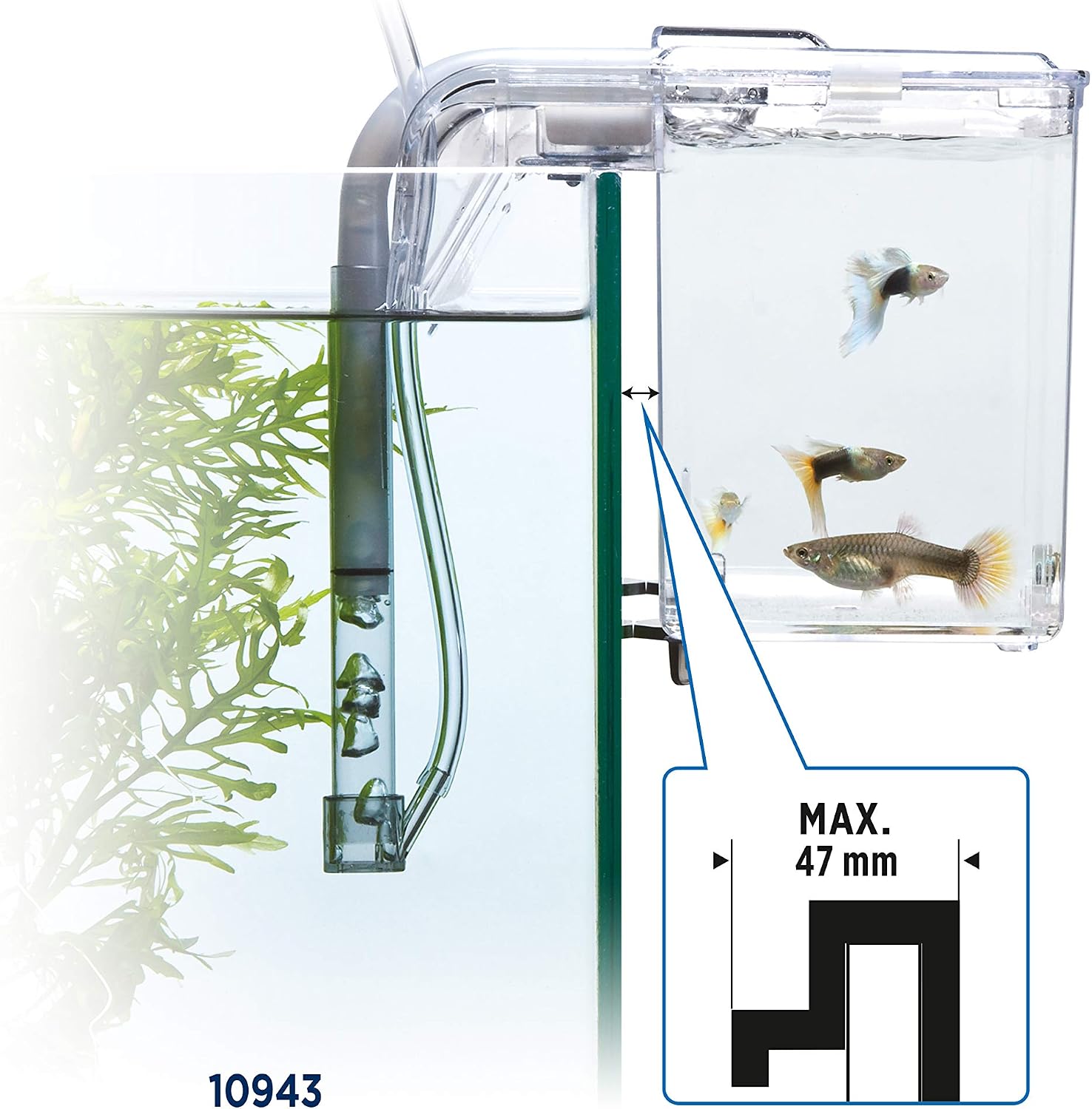 Fluval Multi-Chamber Holding and Breeding Box, Large – Up To 3 Separate Housing Compartments - Image 5
