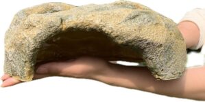 Extra Large Resin Reptile Hide for ...