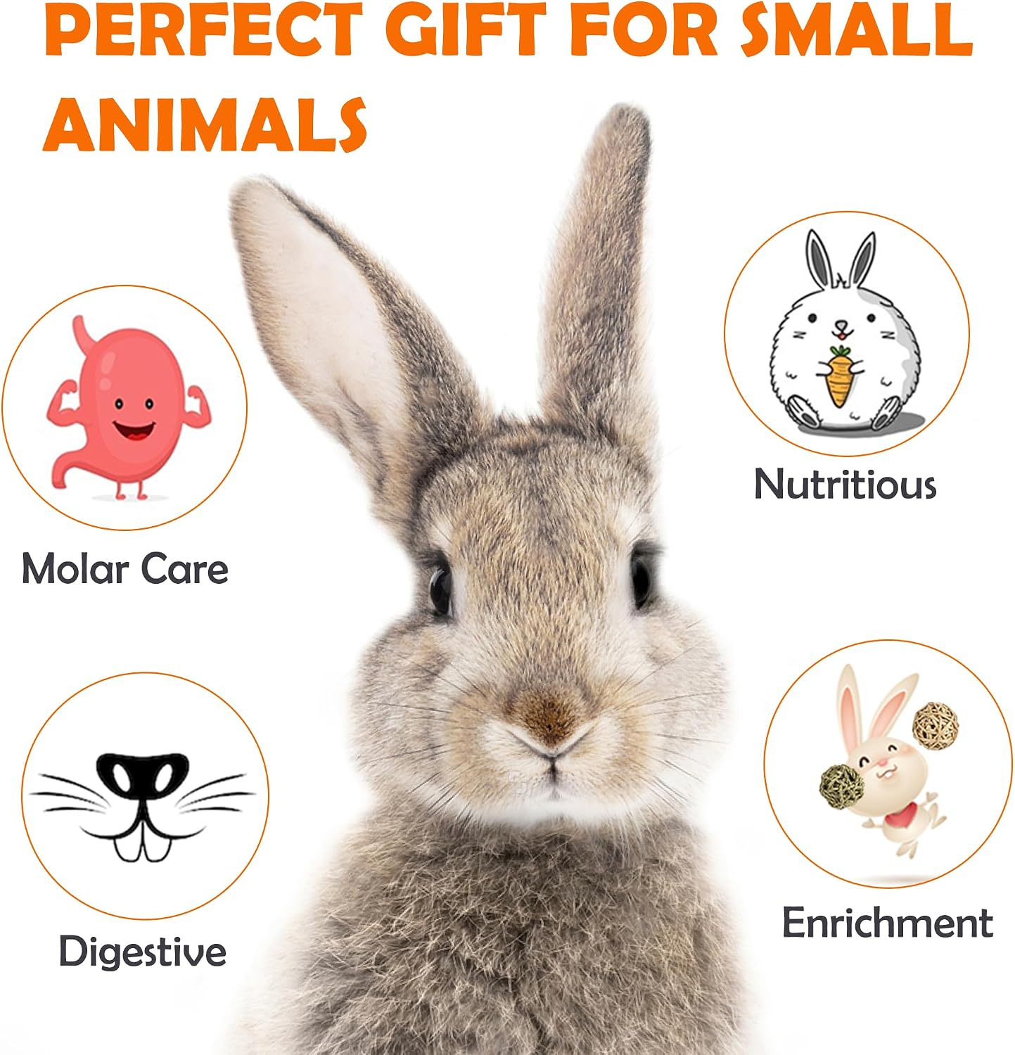 Sofier Timothy Hay Treats Rabbit Toys Bunny Guinea Pig Hamster Natural Chews for Teeth Handmade Rabbit Chews and Treats Chinchilla Rat Gerbil - Image 4