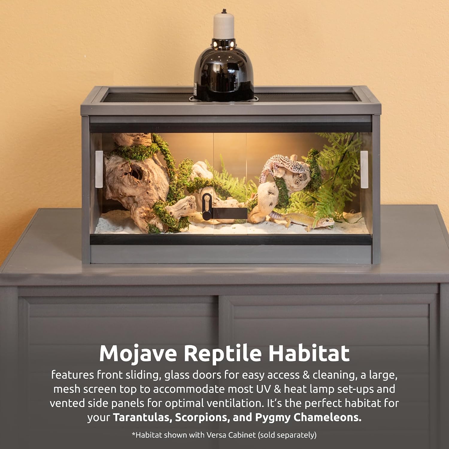 New Age Pet ECOFLEX Small 24" Reptile Habitat Enclosure, Glass Front Terrarium for Snakes, Lizards & Tortoises, in Maple or Grey, Easy to Clean, Front Access Design - Image 5