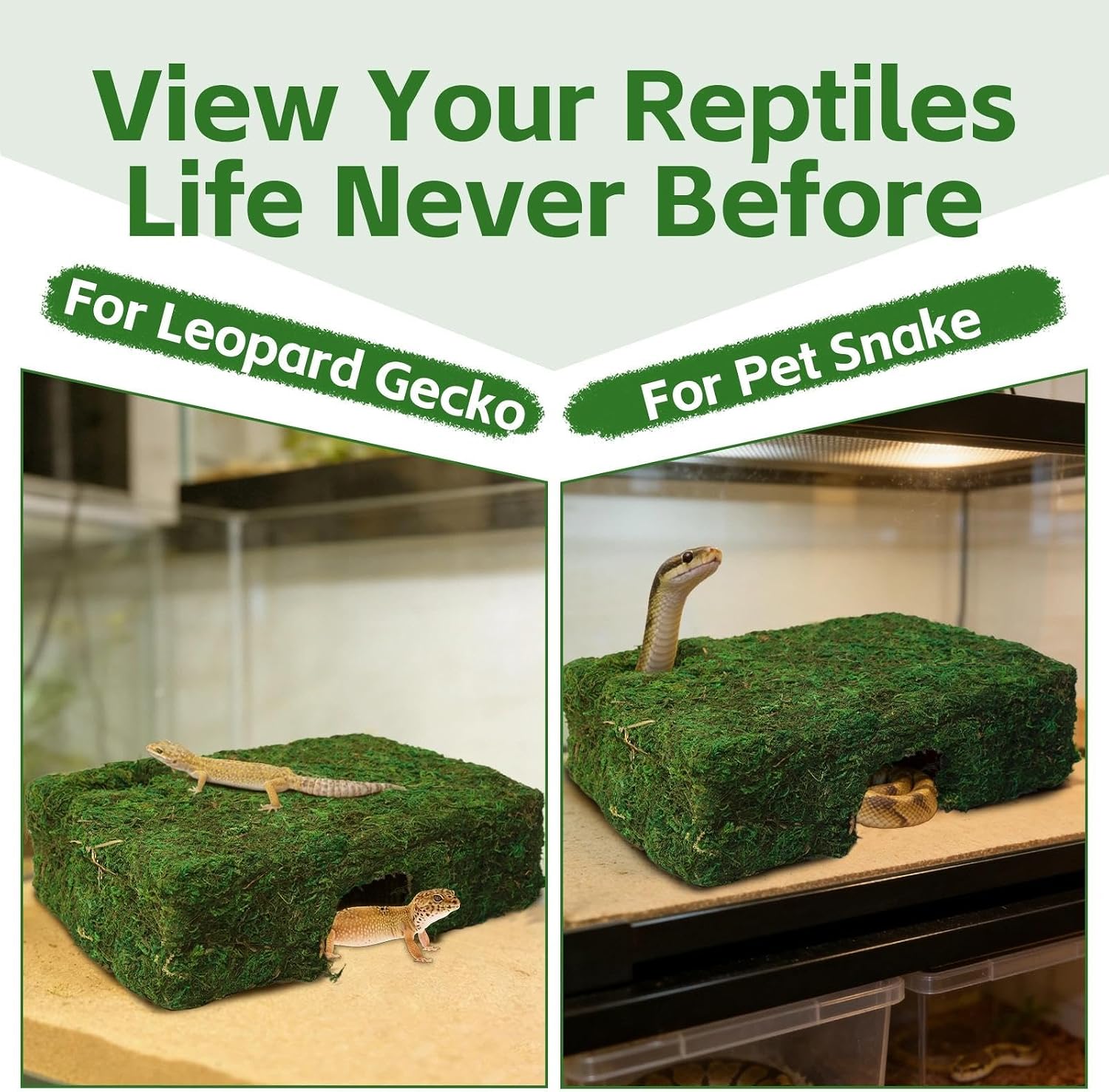 M Size Green Moss Reptile Cave, Safe Hide for Snakes & Geckos | Handmade Snake Cave Hideout Hut for Themed Terrarium Ideal for Gecko Hamster Snake Rest & Hide - Image 6