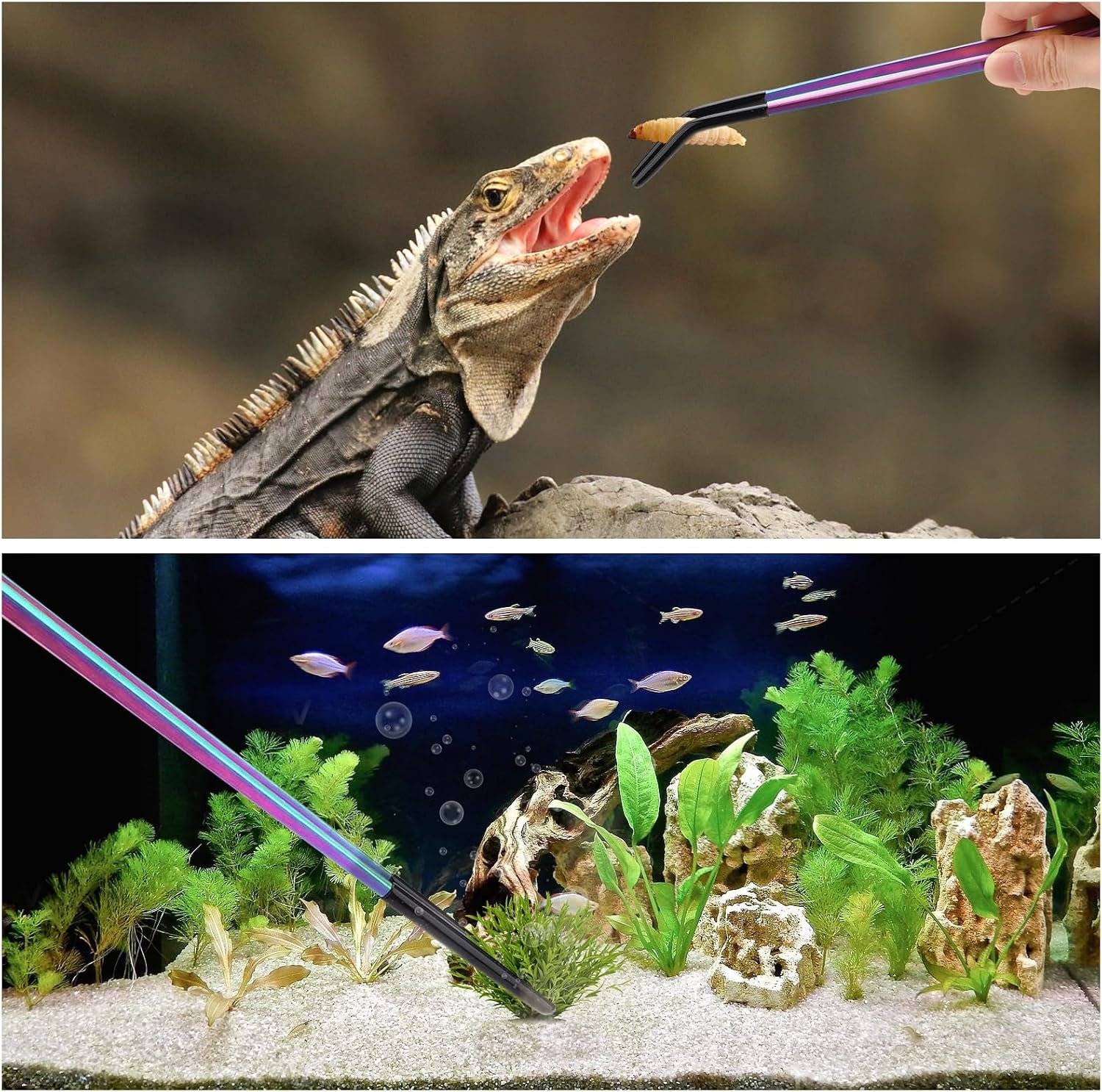 2PCS Stainless Steel Reptile Feeding Tongs with Rubber Tip, 10.6" Straight & Curved Long Tweezers, Perfect for Aquariums & Crafts - Ideal Bearded Dragon & Snake Tank Accessories, Terrarium Supplies - Image 7