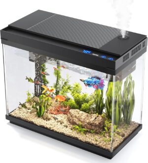 Vehipa Fish Tank, 2.4 Gallon Fish A...