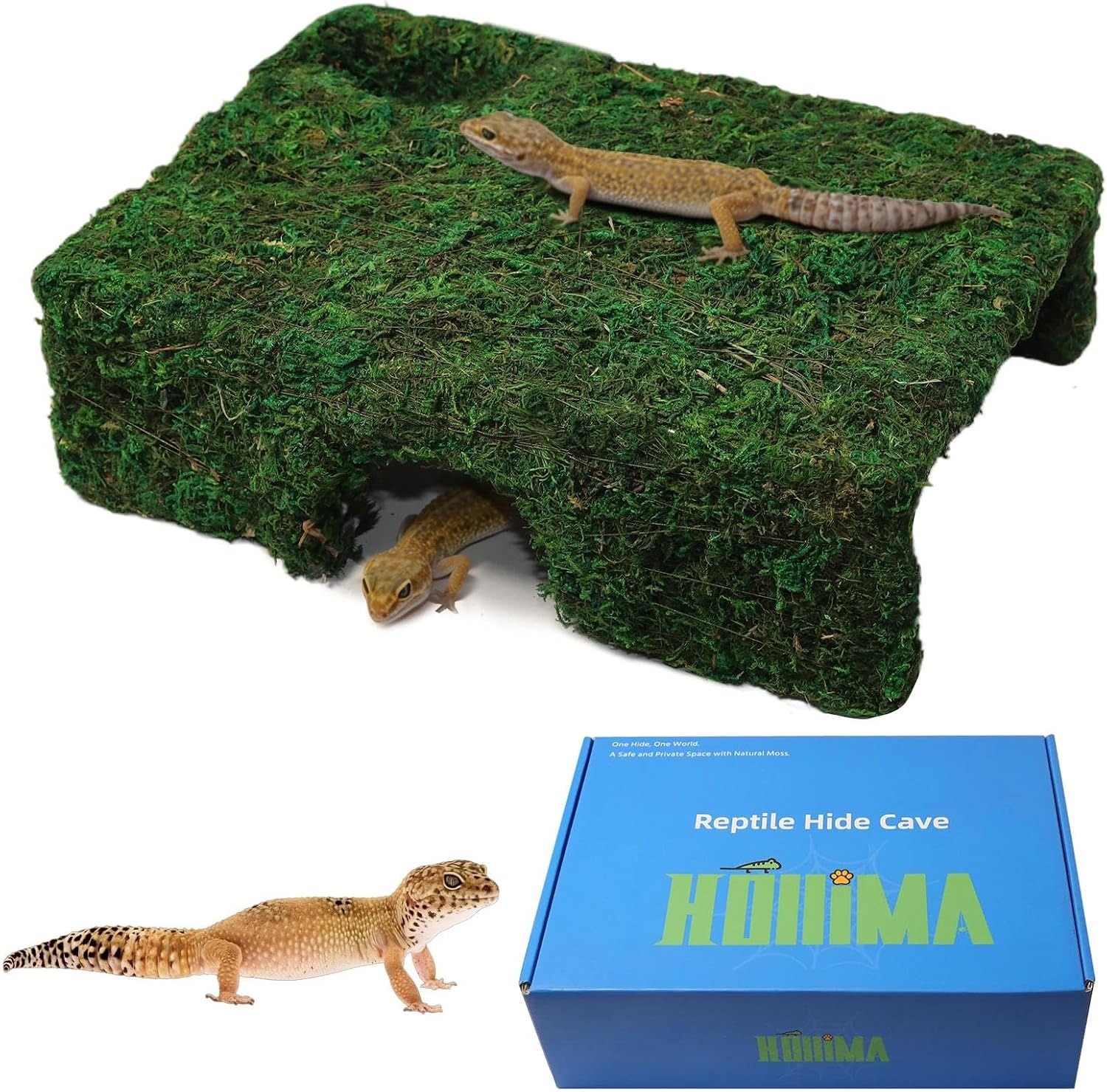 M Size Green Moss Reptile Cave, Safe Hide for Snakes & Geckos | Handmade Snake Cave Hideout Hut for Themed Terrarium Ideal for Gecko Hamster Snake Rest & Hide