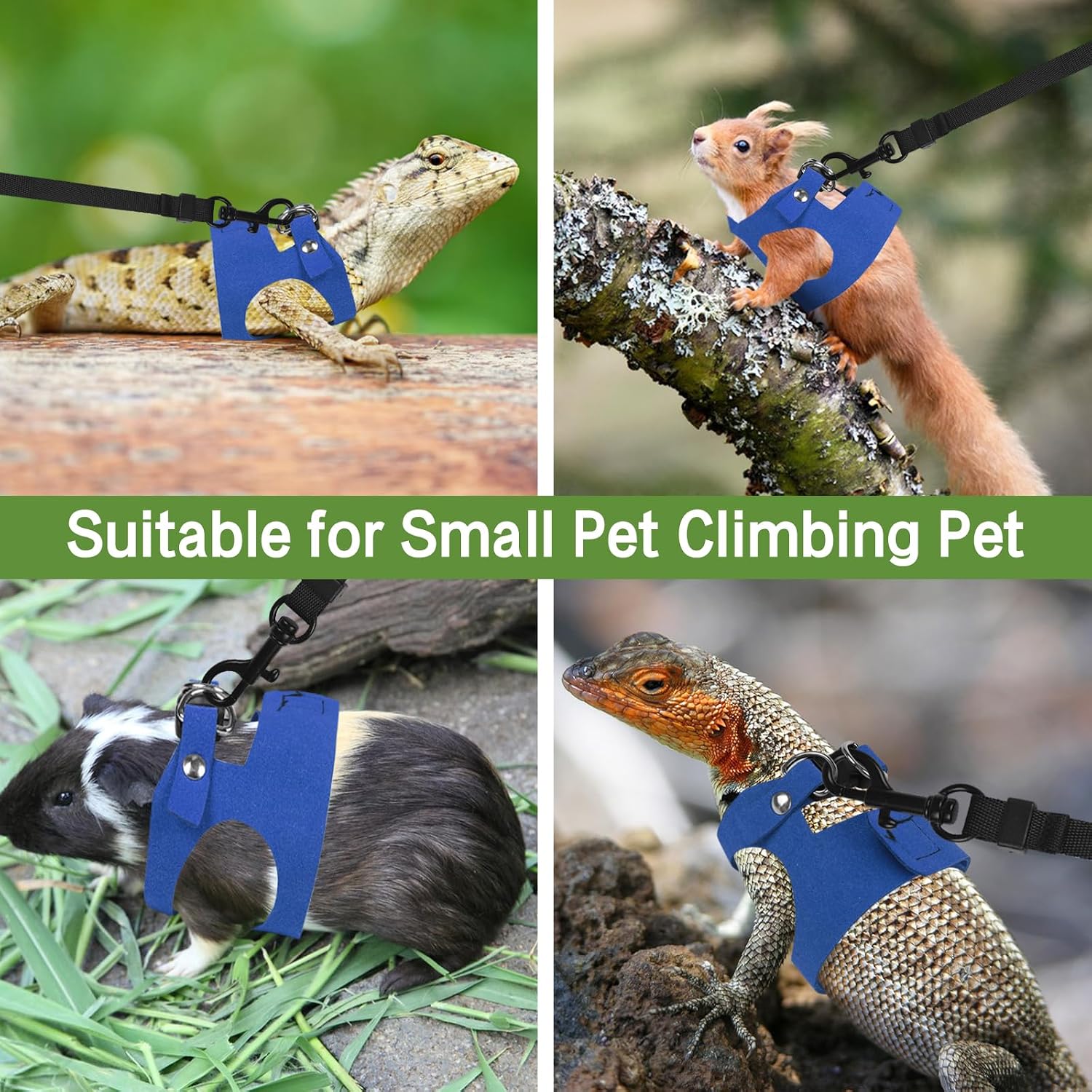 Bearded Dragon Harness Leash Set 3 Size Adjustable Lizards Training Walking Leather Vest Escape-Proof Traction Rope for Outdoor Small Reptiles Animal Squirrels (Blue) - Image 6