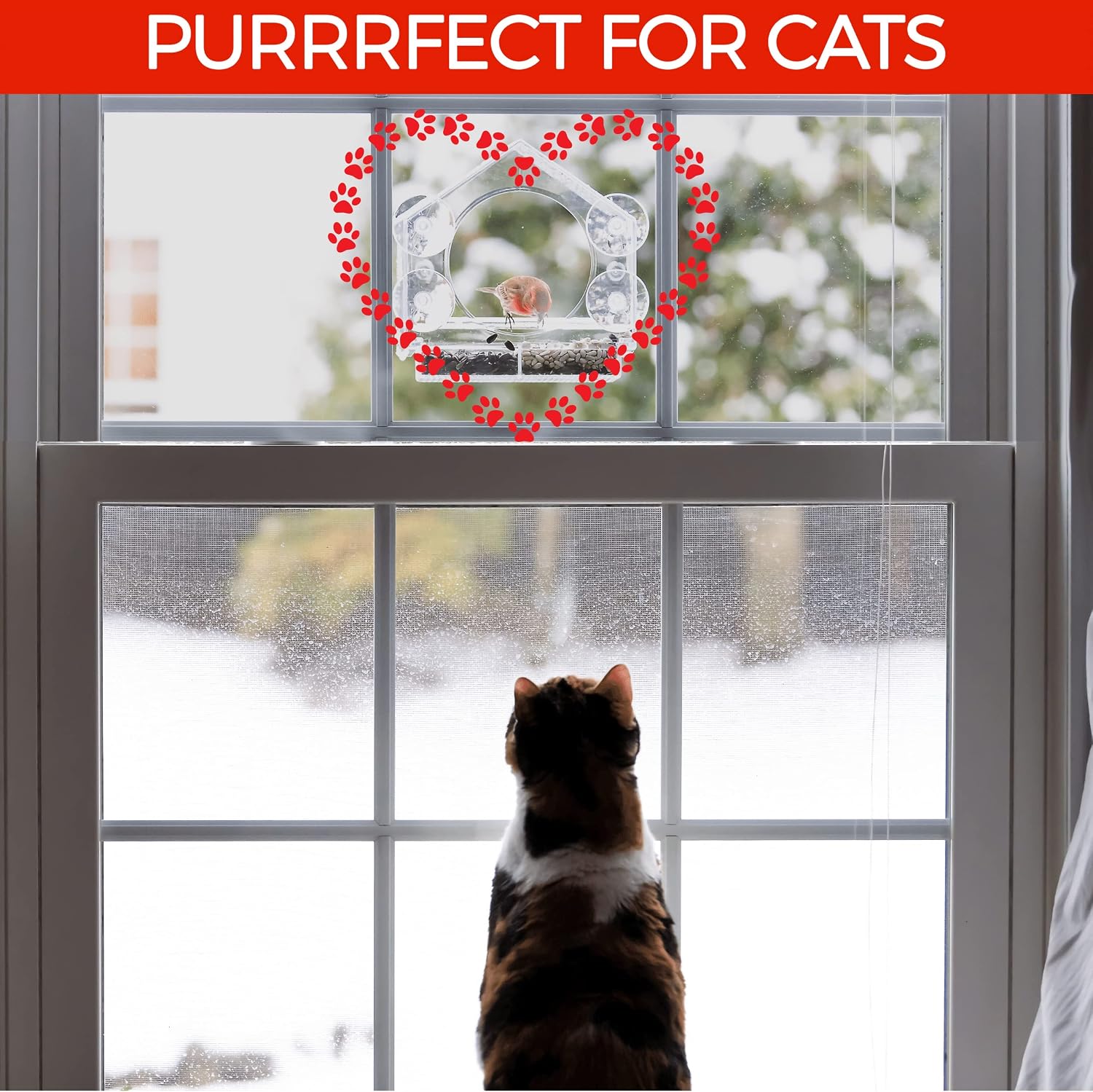 Nature Anywhere Window Bird Feeder - Weather Proof Transparent Acrylic Bird Feeders for Outdoors - Enhanced Suction Grip, Bird Watching for Cats, Easy-to-Clean, Outdoor Birdhouse Feeder (1 Unit) - Image 7