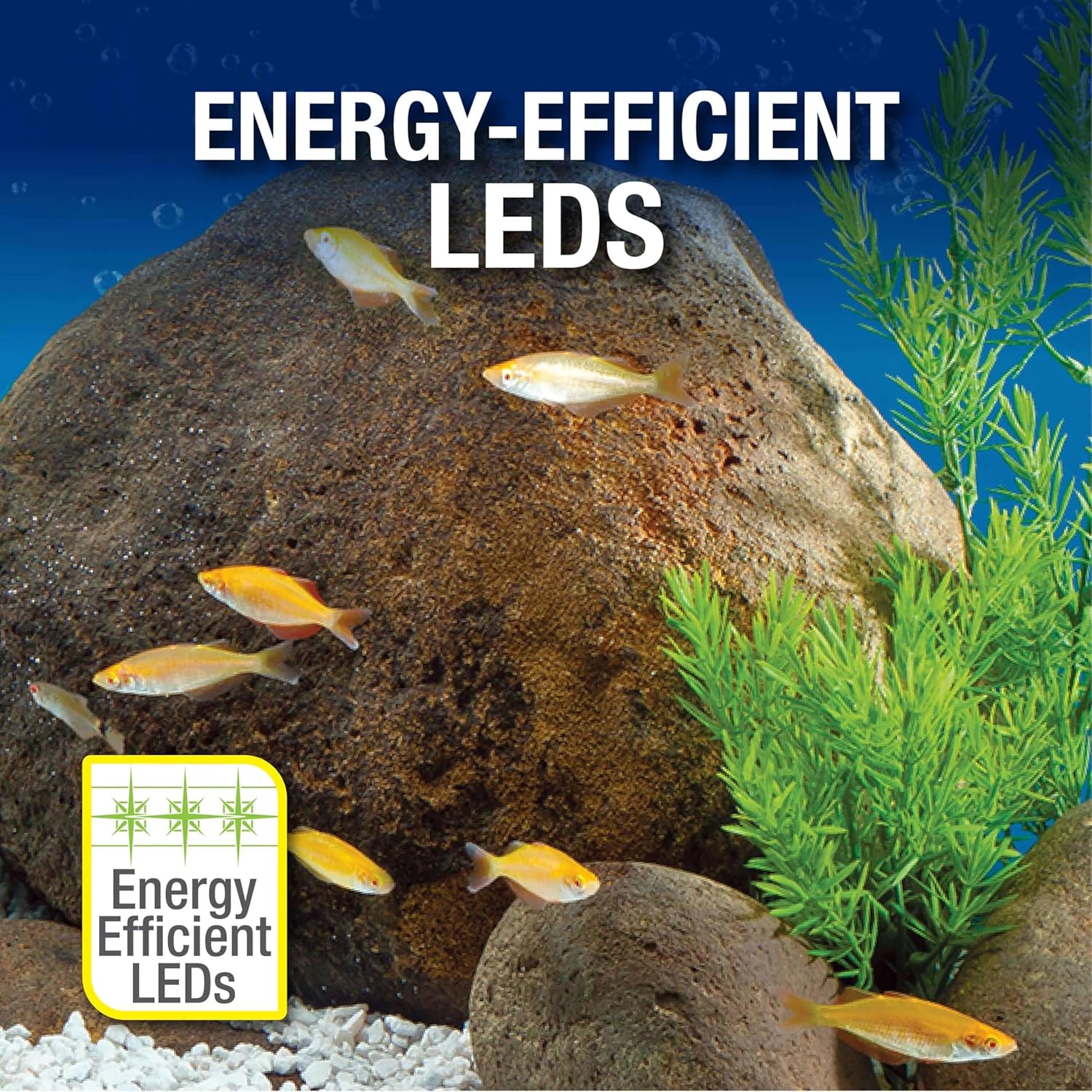 Tetra Aquarium, 20 Gallon, Complete Tropical Fish Tank Kit With LED Lighting And Decor For Freshwater Fish - Image 11