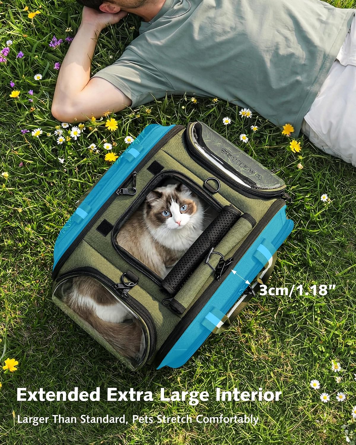 Pecute Cat Carrier with Bubble Window & Sunshade for Dogs Cats, Green L | Dual bubble windows & top sunshade, 70% more airflow mesh, Impact-resistant stable frame, Locking zippers, Fits up to 15 lbs - Image 3