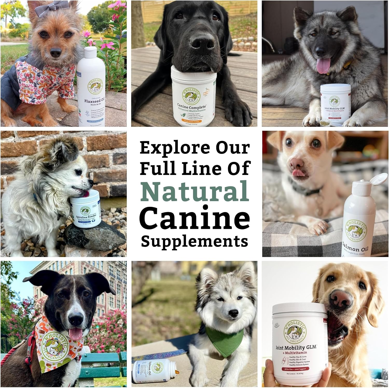 Organic Dog Vitamins - 4 Lb - 180 Scoops | Daily Dog Multivitamin with Prebiotics, Probiotics for Immune Support, Skin Coat, Digestion, & Joint Health - Canine Complete - Image 9