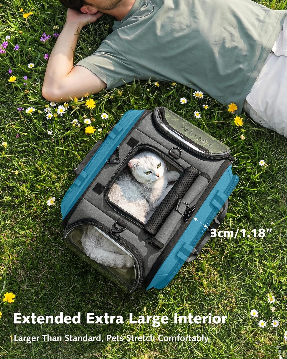 Pecute Cat Carrier with Bubble Window & Sunshade for Dogs Cats, Gray M | Dual bubble windows & top sunshade, 70% more airflow mesh, Impact-resistant stable frame, Locking zippers, Fits up to 11 lbs - Image 3