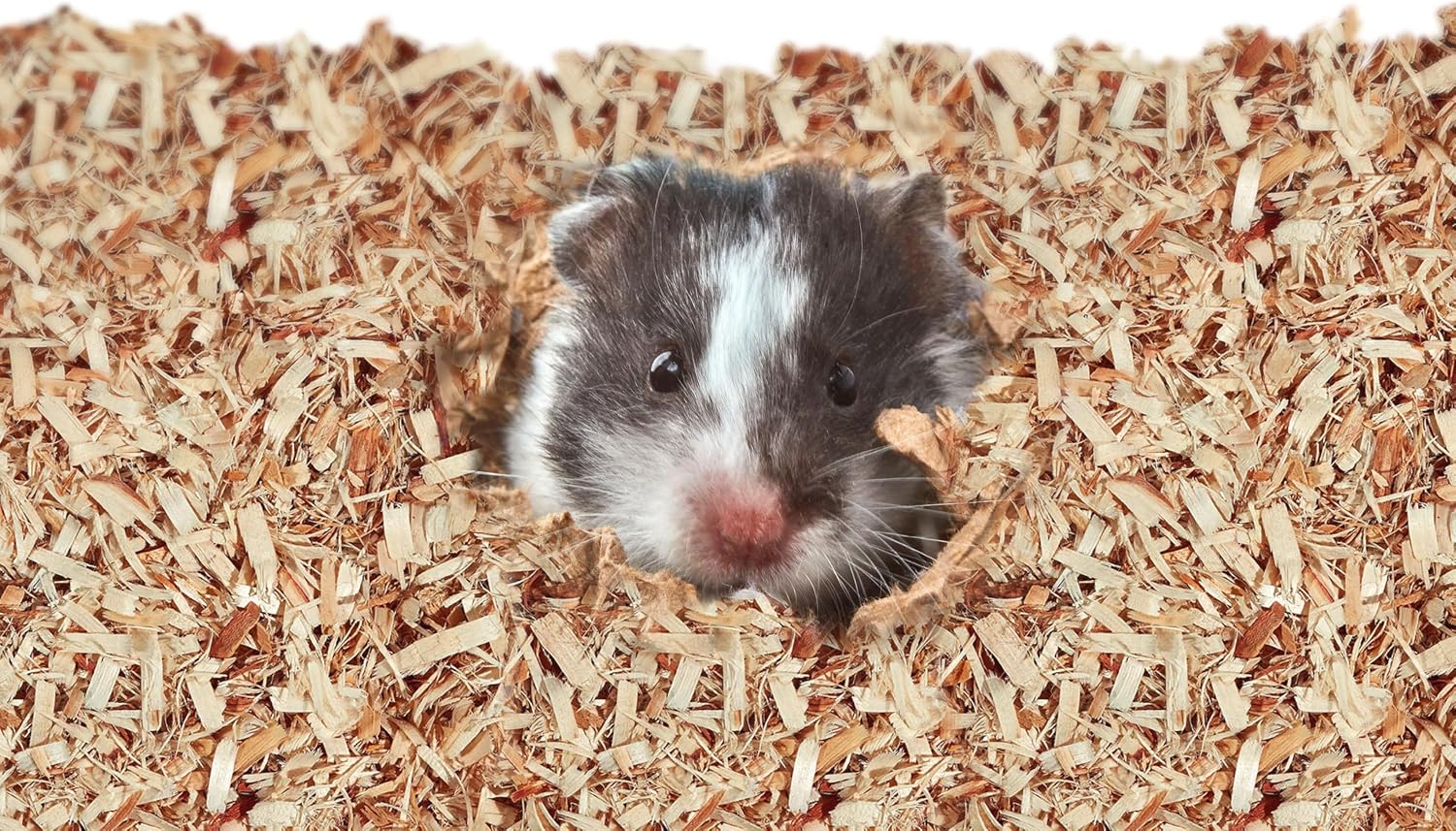 Kaytee Aspen Small Animal Pet Bedding For Pet Guinea Pigs, Rabbits, Hamsters, Gerbils, and Chinchillas, 52.4 Liters - Image 4