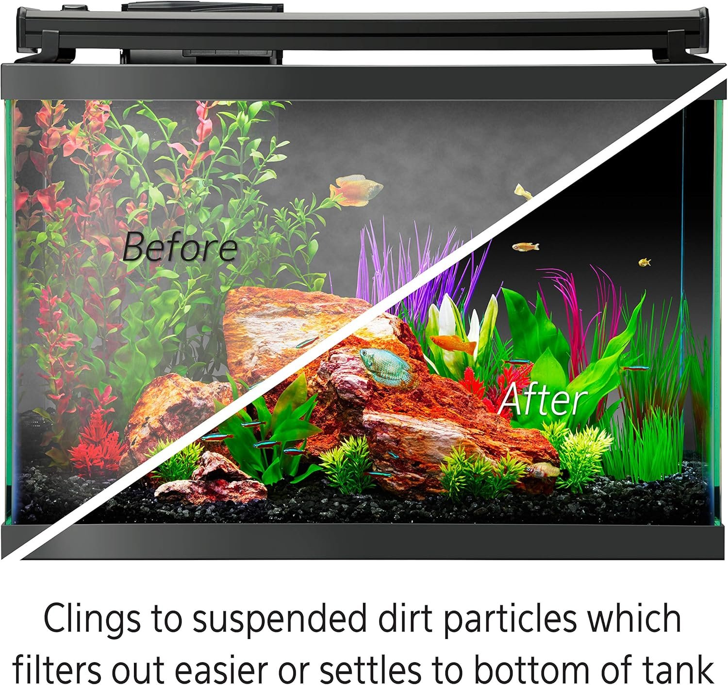 Aqueon Freshwater Aquarium Water Clarifier, Clears Cloudy Fish Tank Water, Safe to Use with Fish and Plants - 8 Ounces - Image 3