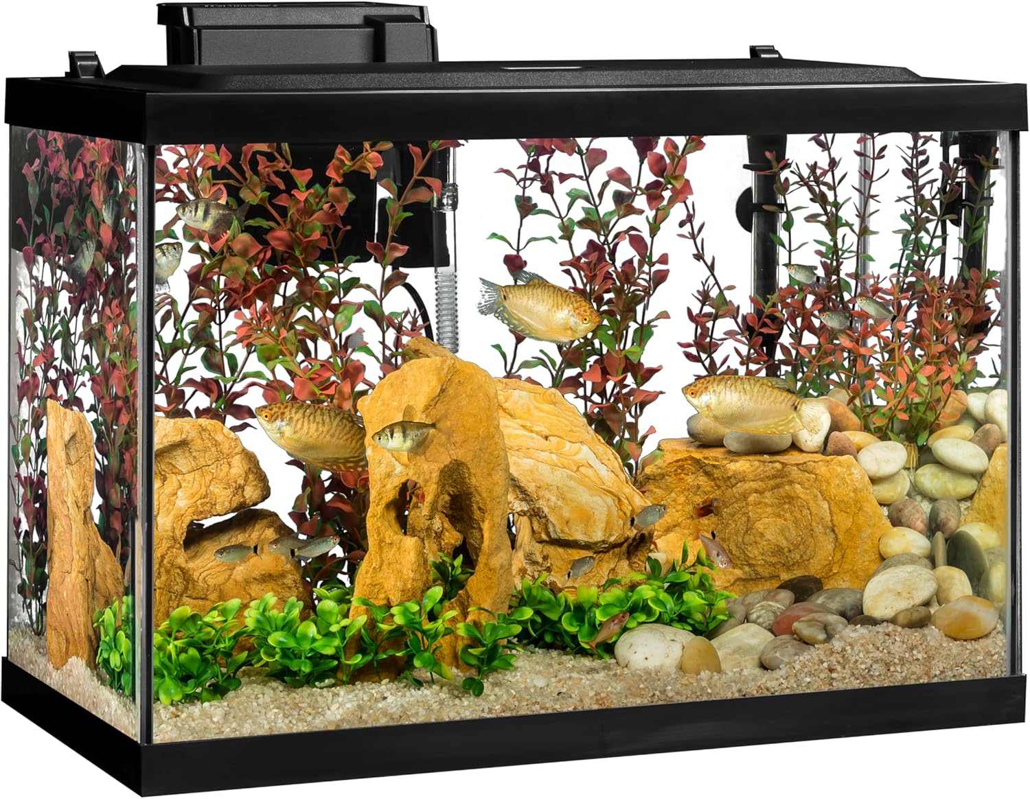 Tetra Aquarium, 20 Gallon, Complete Tropical Fish Tank Kit With LED Lighting And Decor For Freshwater Fish - Image 3