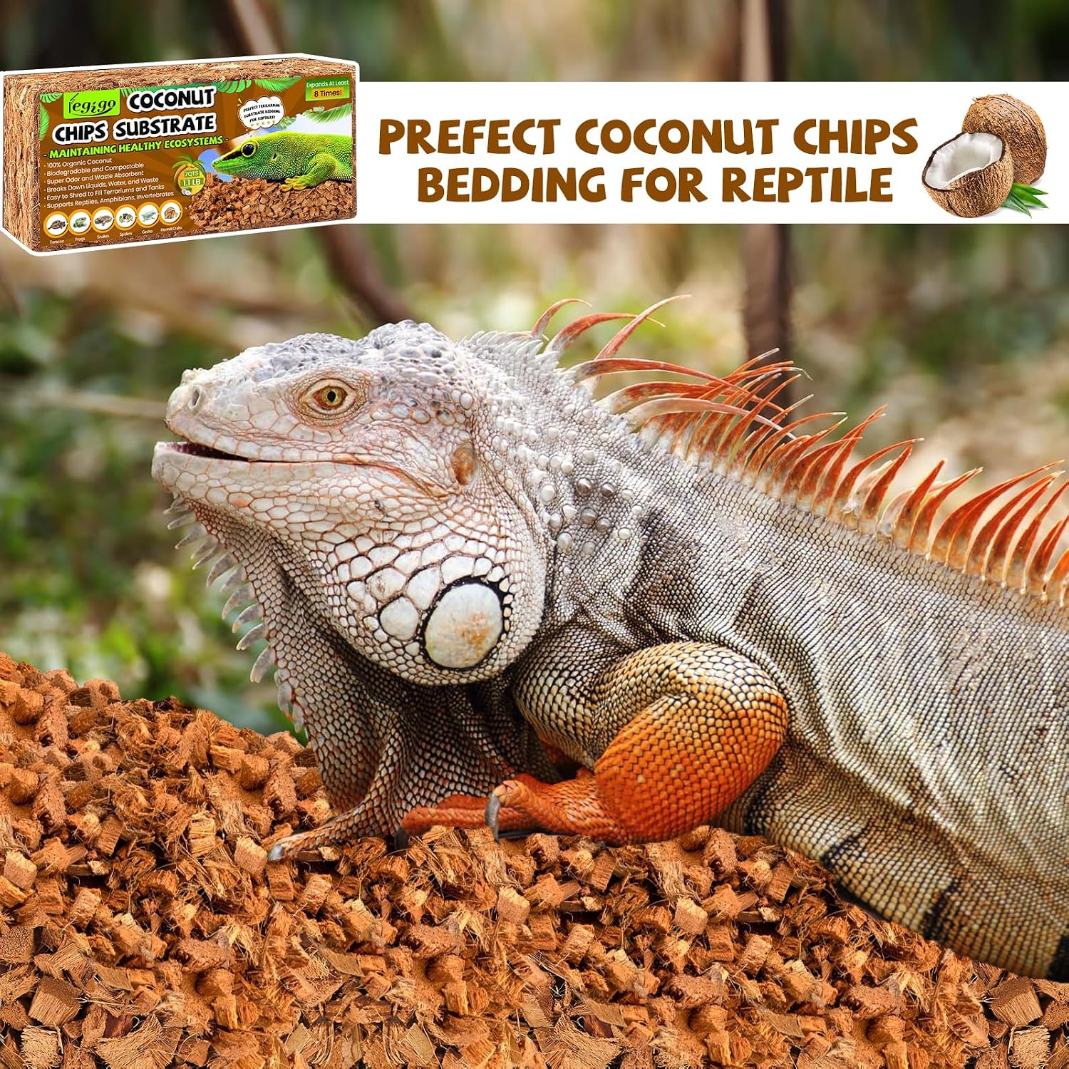 Legigo 2 Pack Coconut Chip Substrate for Reptiles, Natural Coco Husk Chip Reptiles Bedding, Compressed Coconut Chip Substrate for Snake, Tortoise, Ball Python, Gecko, Lizard Terrarium Tanks - Image 7