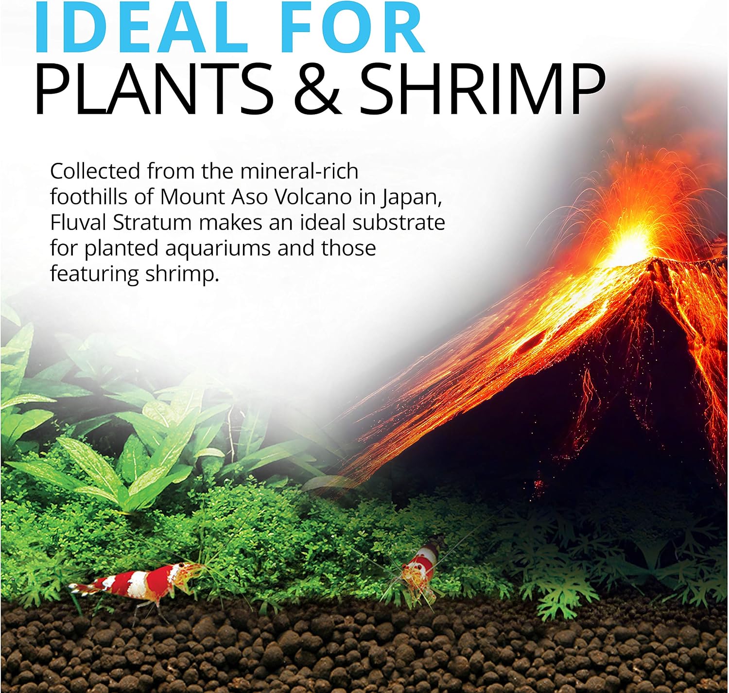 Fluval 12694 Plant and Shrimp Stratum for Freshwater Fish Tanks, 8.8 lbs. – Aquarium Substrate for Strong Plant Growth, Supports Neutral to Slightly Acidic pH - Image 2