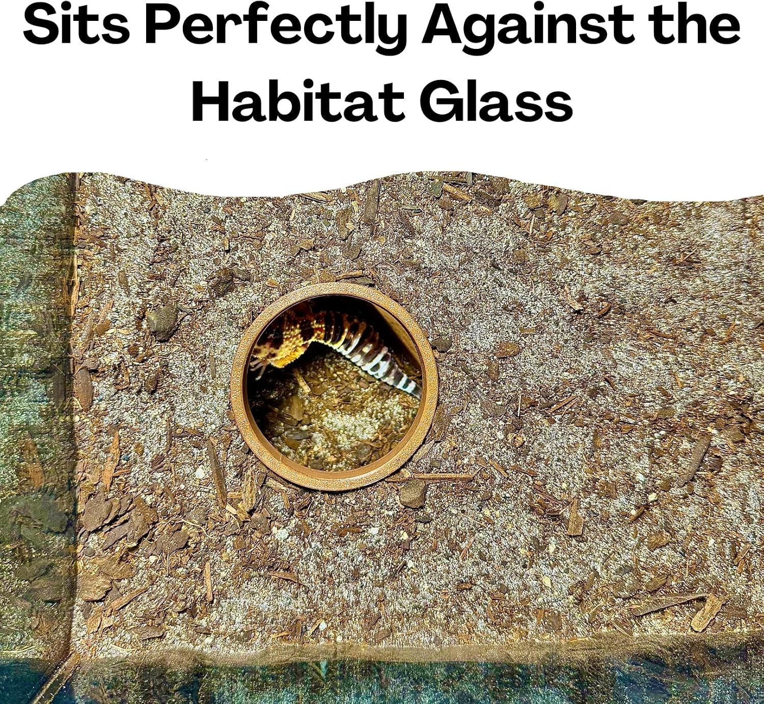 Reptile Corner Underground Cave Viewing Hide | Hognose Snake, Corn Snake & Leopard Gecko Hideout Reptile Habitat Tank Enrichment | Decor Decoration Accessories Supplies Toys Ornaments - Image 6