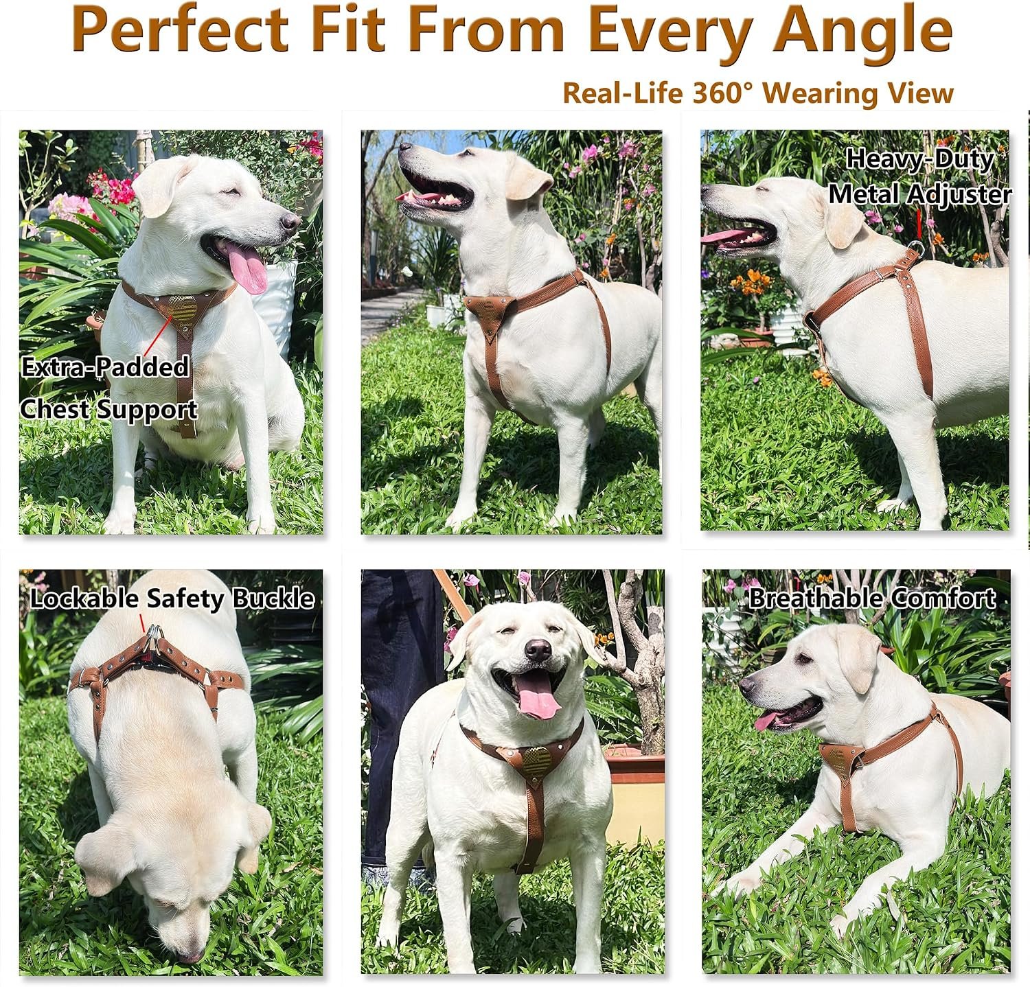 Genuine Leather Dog Harness – Adjustable No Pull Harness with Soft Padded Chest, Heavy Duty Buckle, Brown, Medium Dogs - Image 6